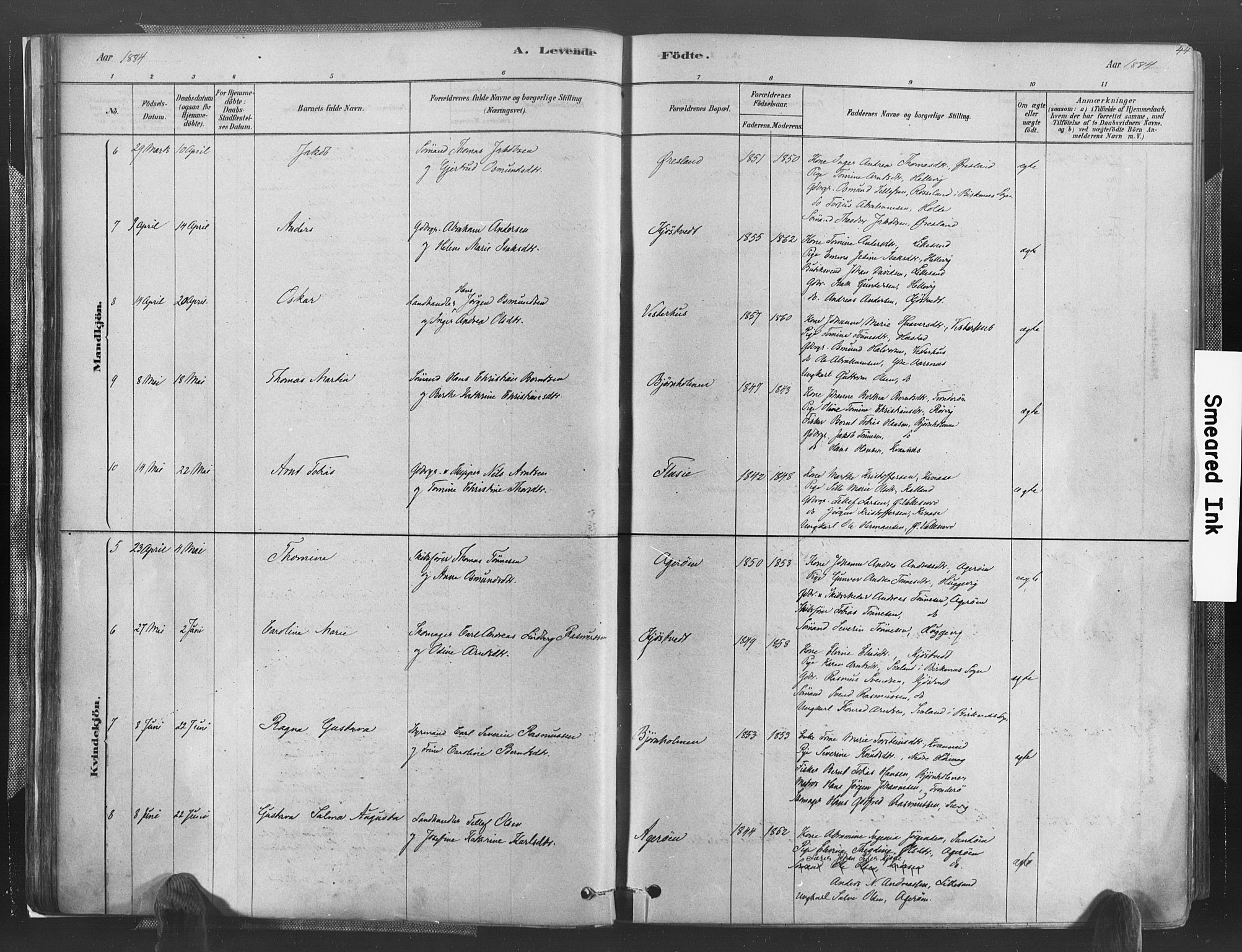 Høvåg sokneprestkontor, AV/SAK-1111-0025/F/Fa/L0005: Parish register (official) no. A 5, 1878-1893, p. 44