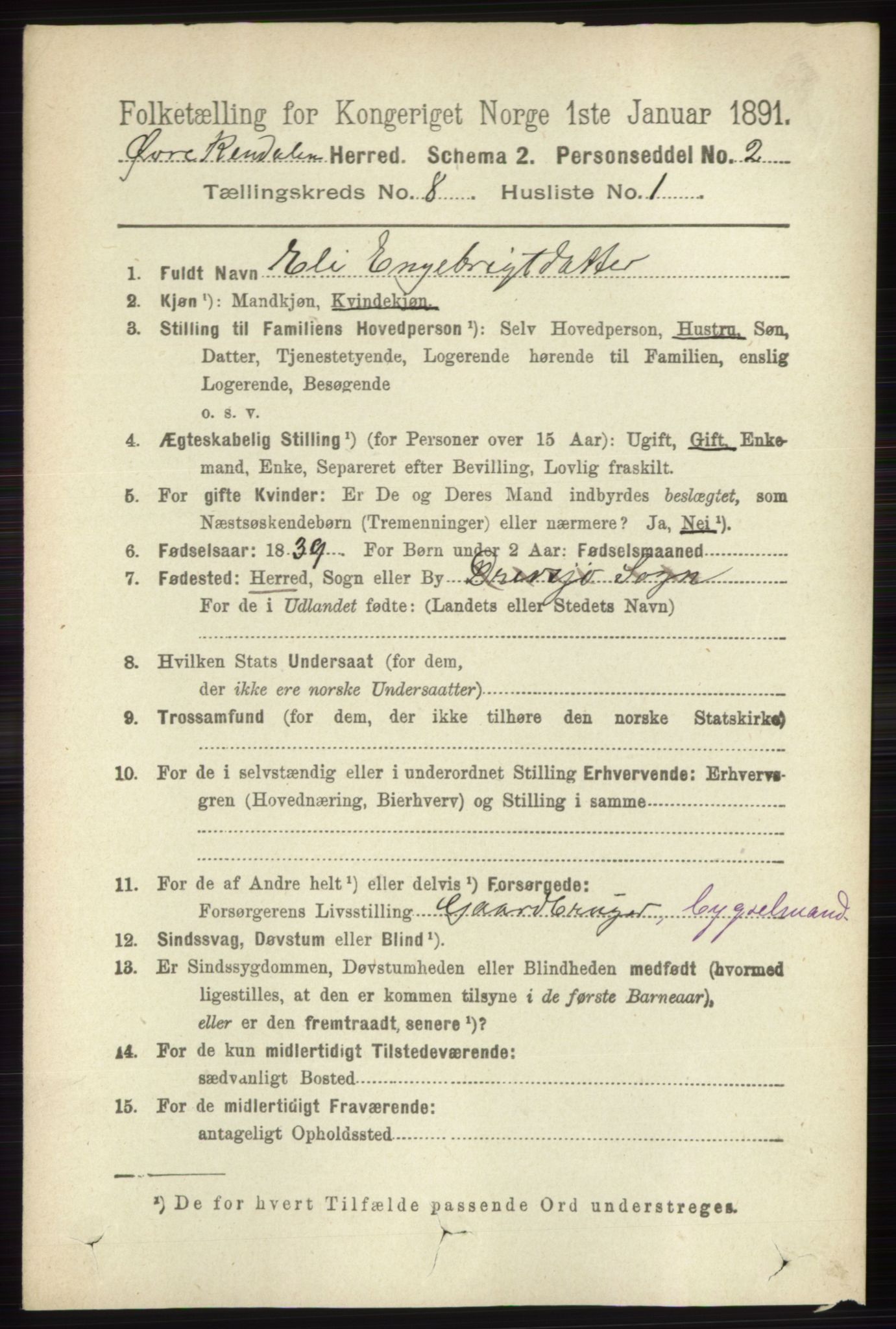 RA, 1891 census for 0433 Øvre Rendal, 1891, p. 1966