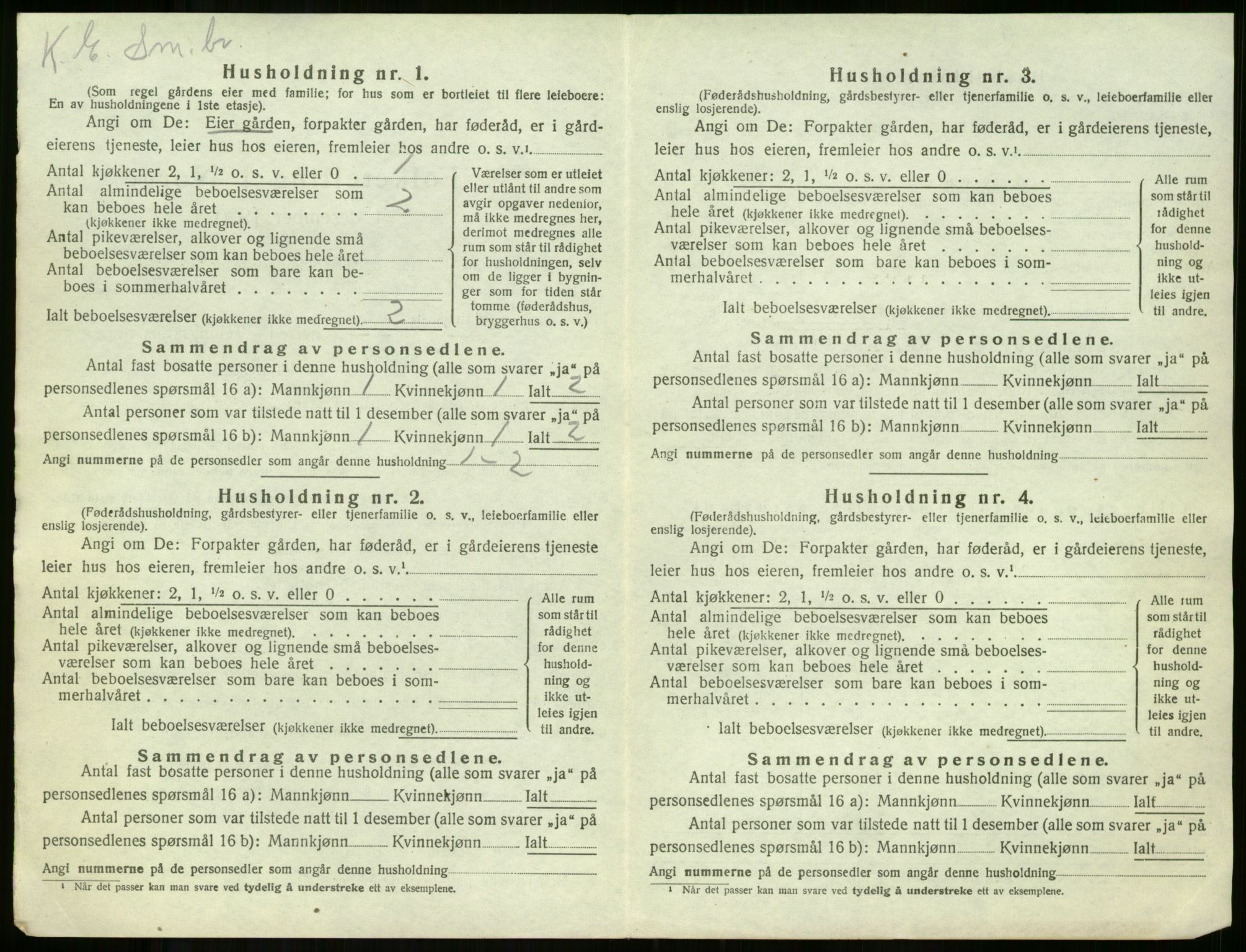 SAKO, 1920 census for Borre, 1920, p. 1373