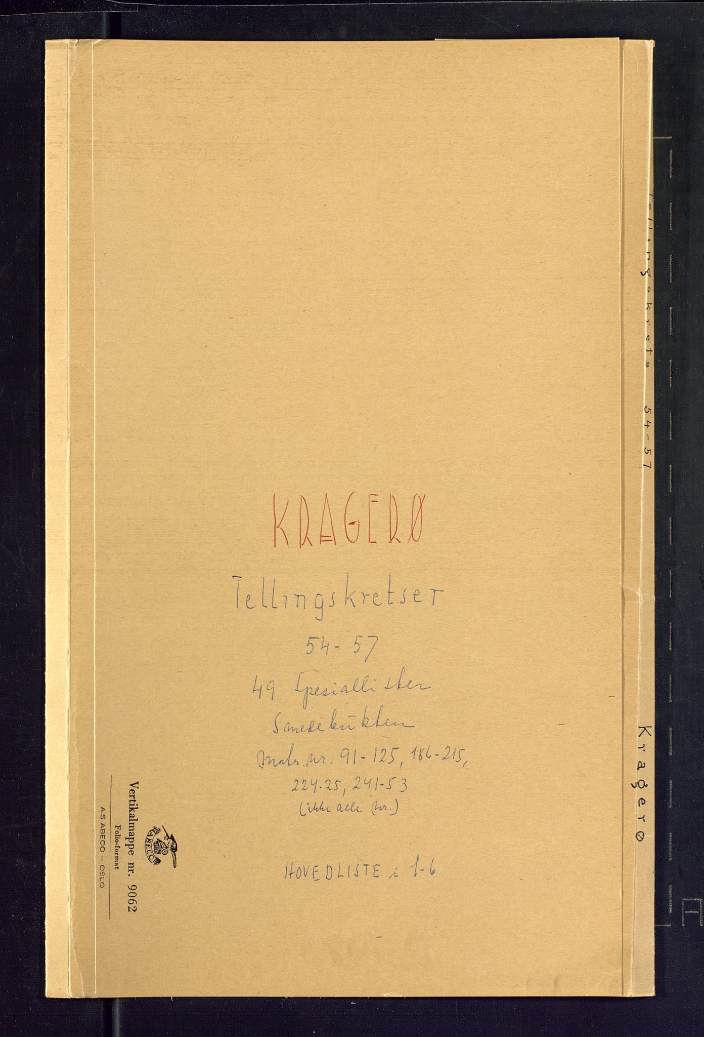 SAKO, 1875 census for 0801P Kragerø, 1875, p. 19