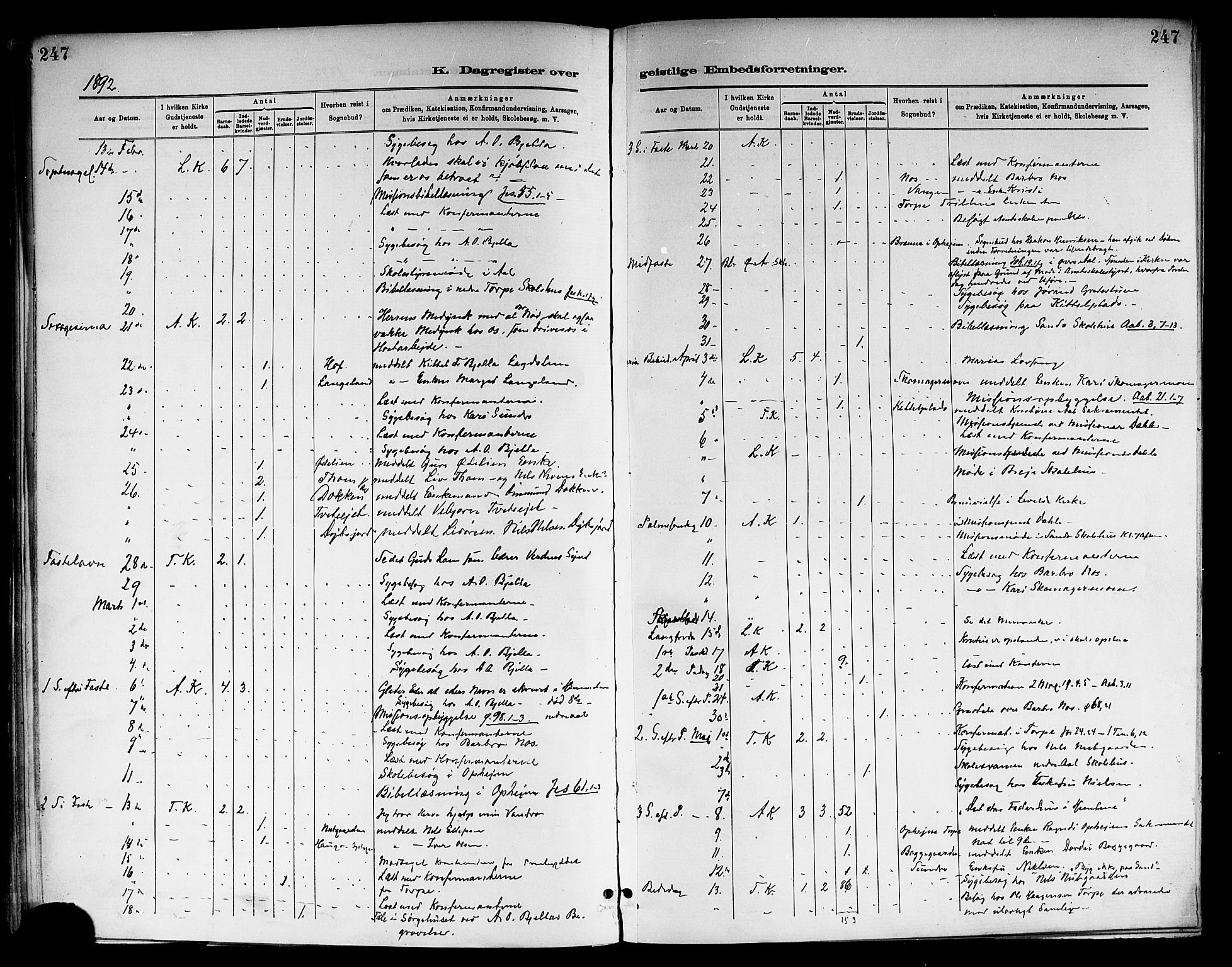 Ål kirkebøker, SAKO/A-249/F/Fa/L0008: Parish register (official) no. I 8, 1882-1896, p. 247