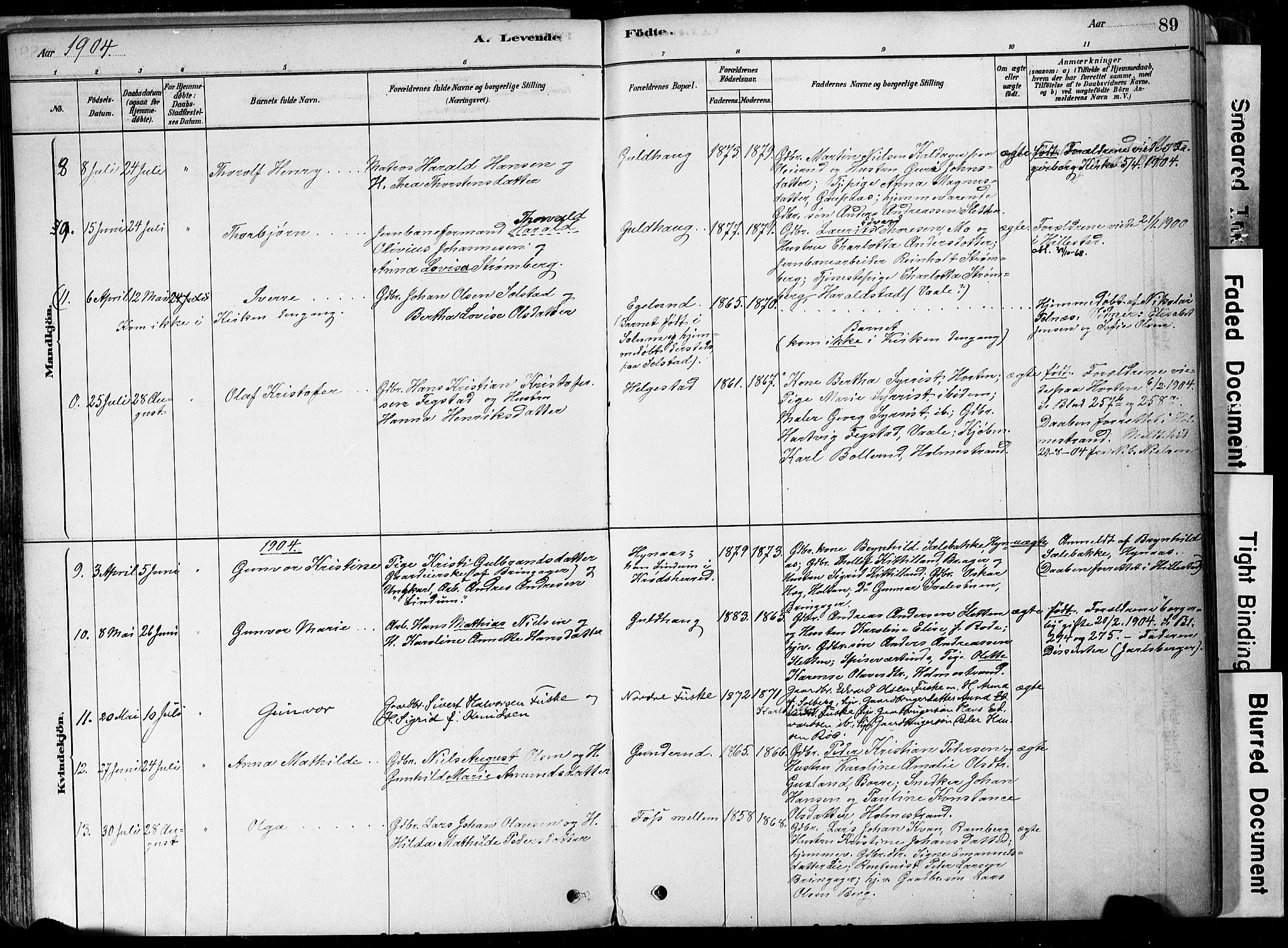 Botne kirkebøker, AV/SAKO-A-340/F/Fa/L0007: Parish register (official) no. I 7, 1878-1910, p. 89