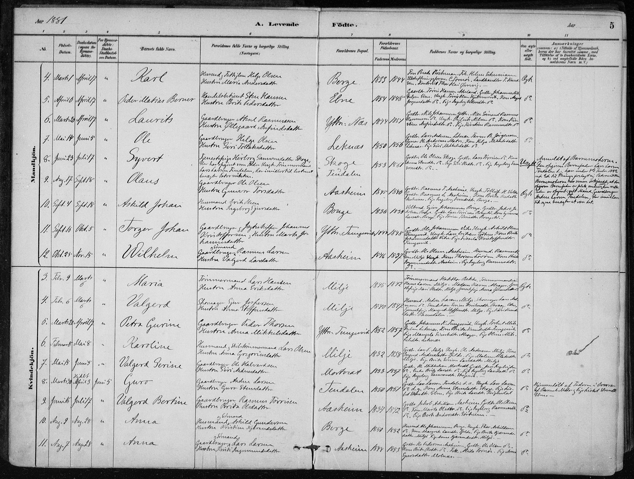 Skånevik sokneprestembete, AV/SAB-A-77801/H/Haa: Parish register (official) no. B 1, 1879-1914, p. 5