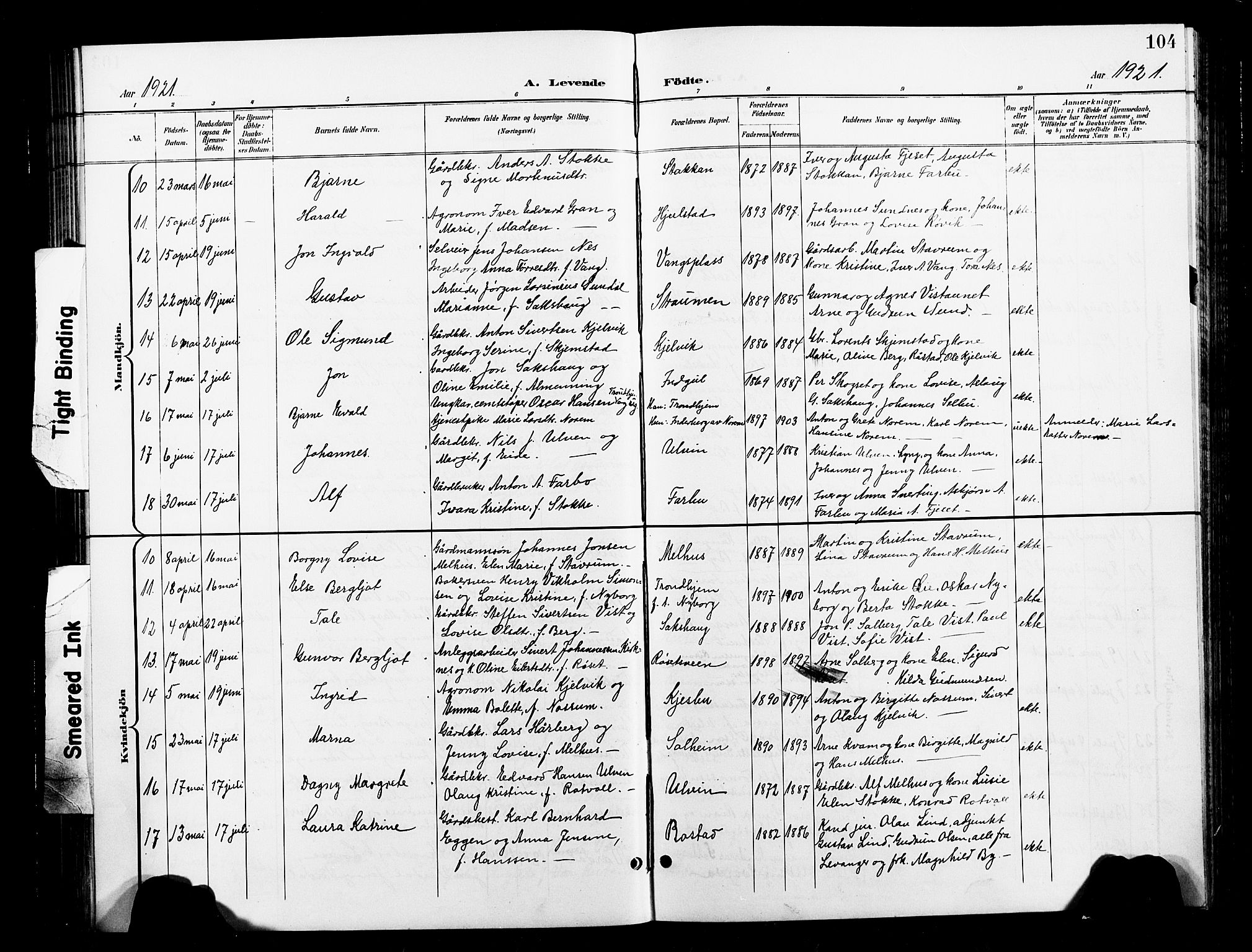 Ministerialprotokoller, klokkerbøker og fødselsregistre - Nord-Trøndelag, SAT/A-1458/730/L0302: Parish register (copy) no. 730C05, 1898-1924, p. 104