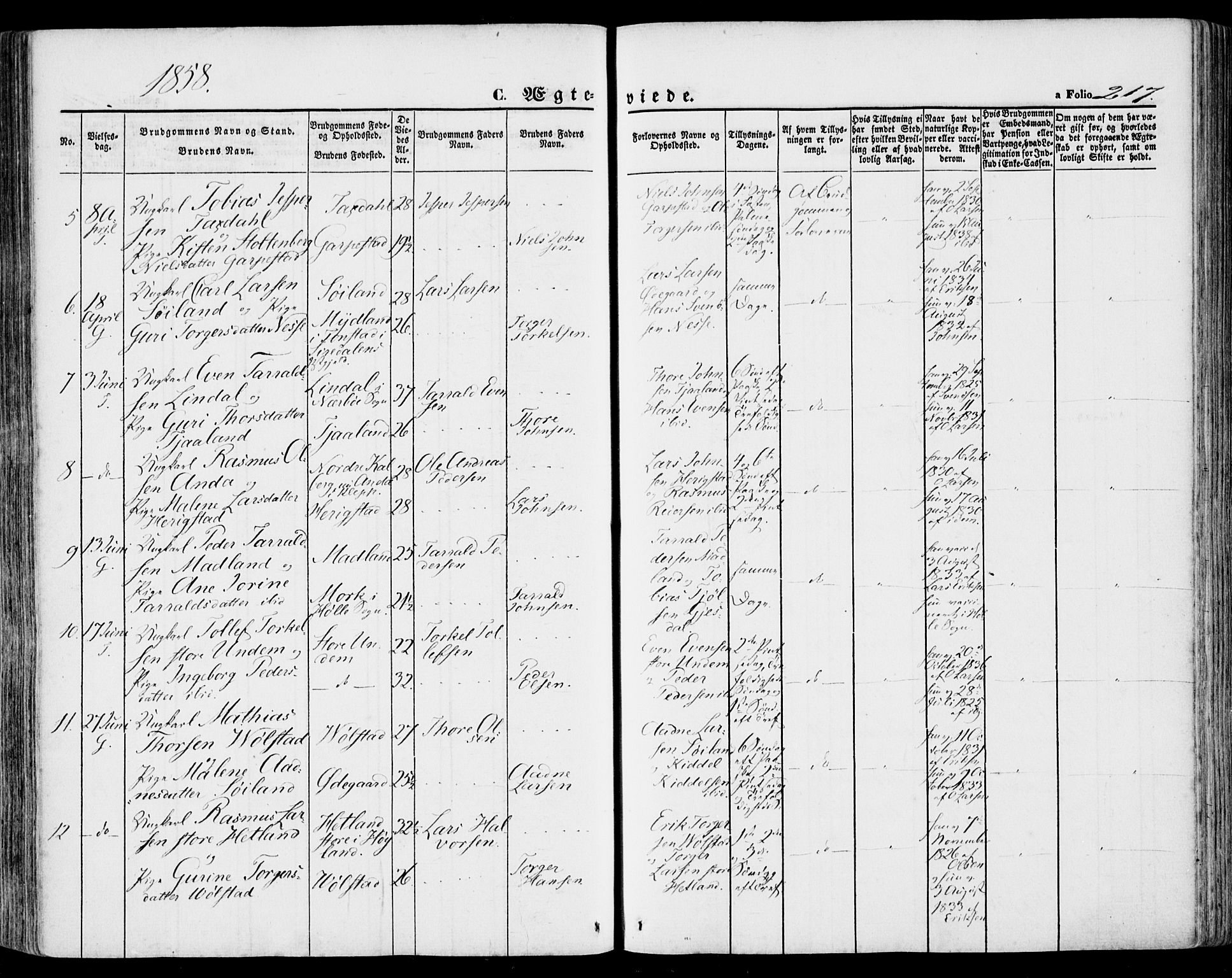 Lye sokneprestkontor, SAST/A-101794/001/30BA/L0007: Parish register (official) no. A 6, 1856-1871, p. 217