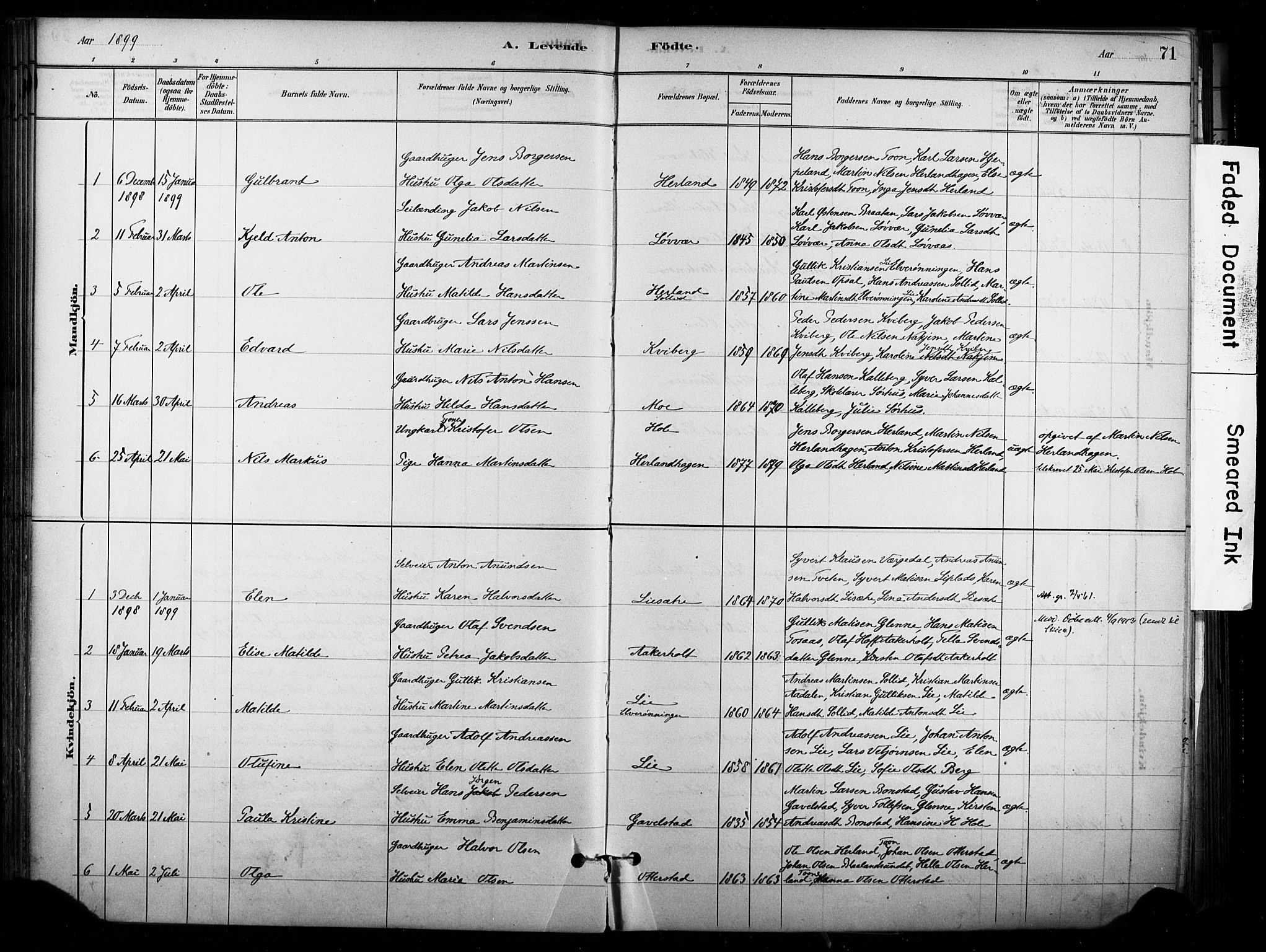 Lardal kirkebøker, AV/SAKO-A-350/F/Fb/L0001: Parish register (official) no. II 1, 1881-1911, p. 71