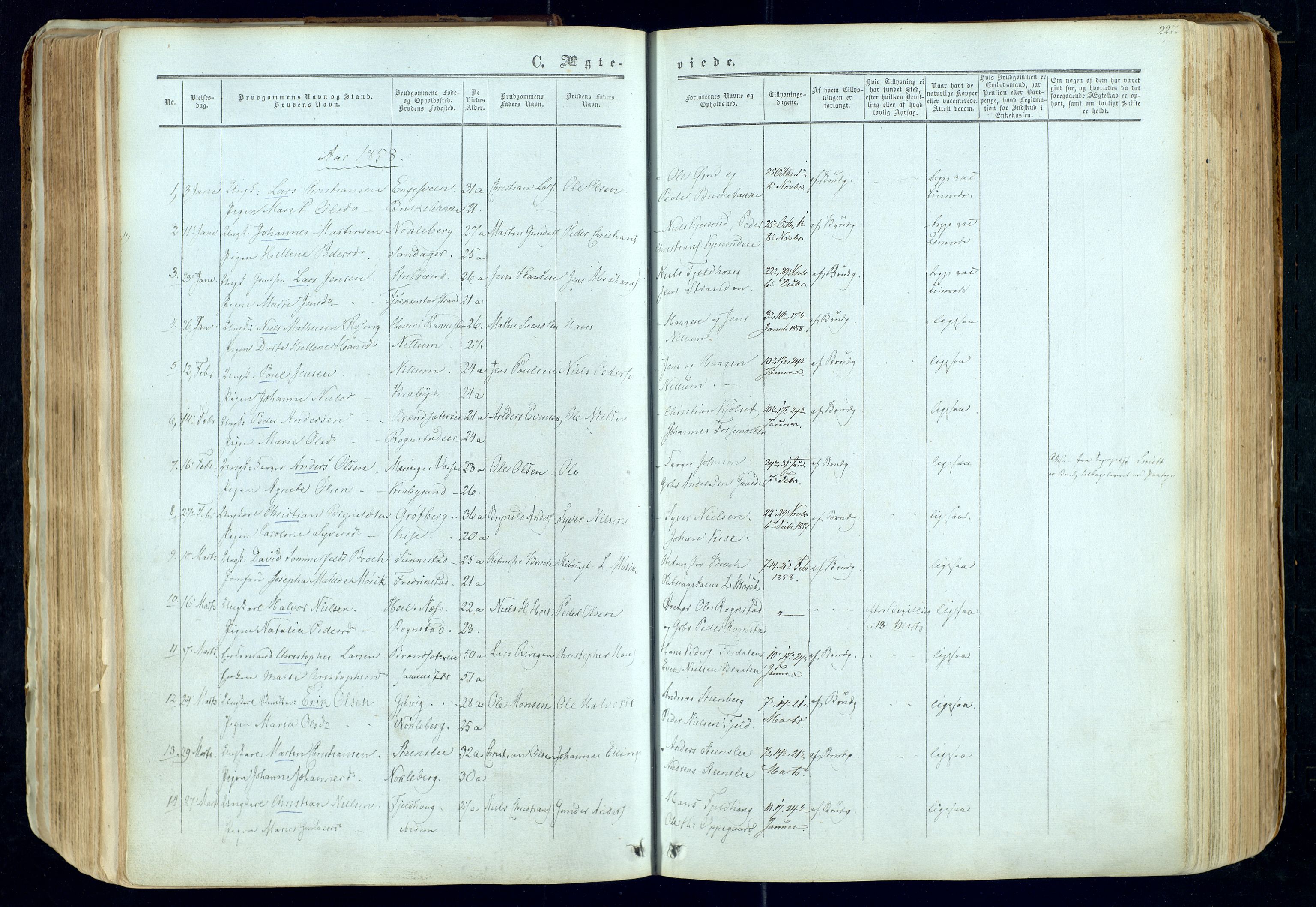 Østre Toten prestekontor, SAH/PREST-104/H/Ha/Haa/L0004: Parish register (official) no. 4, 1857-1865, p. 227