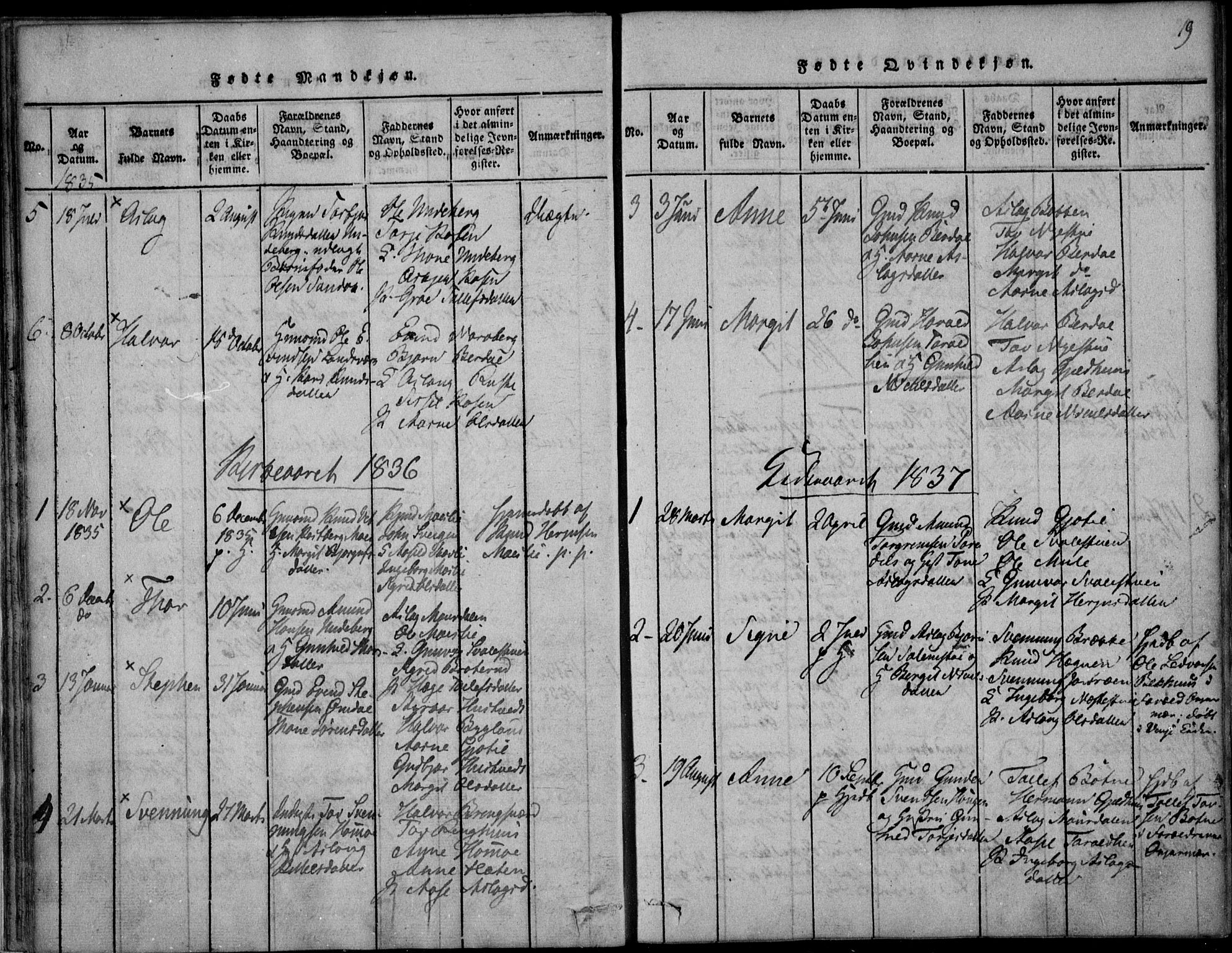 Vinje kirkebøker, SAKO/A-312/F/Fb/L0001: Parish register (official) no. II 1, 1814-1843, p. 19