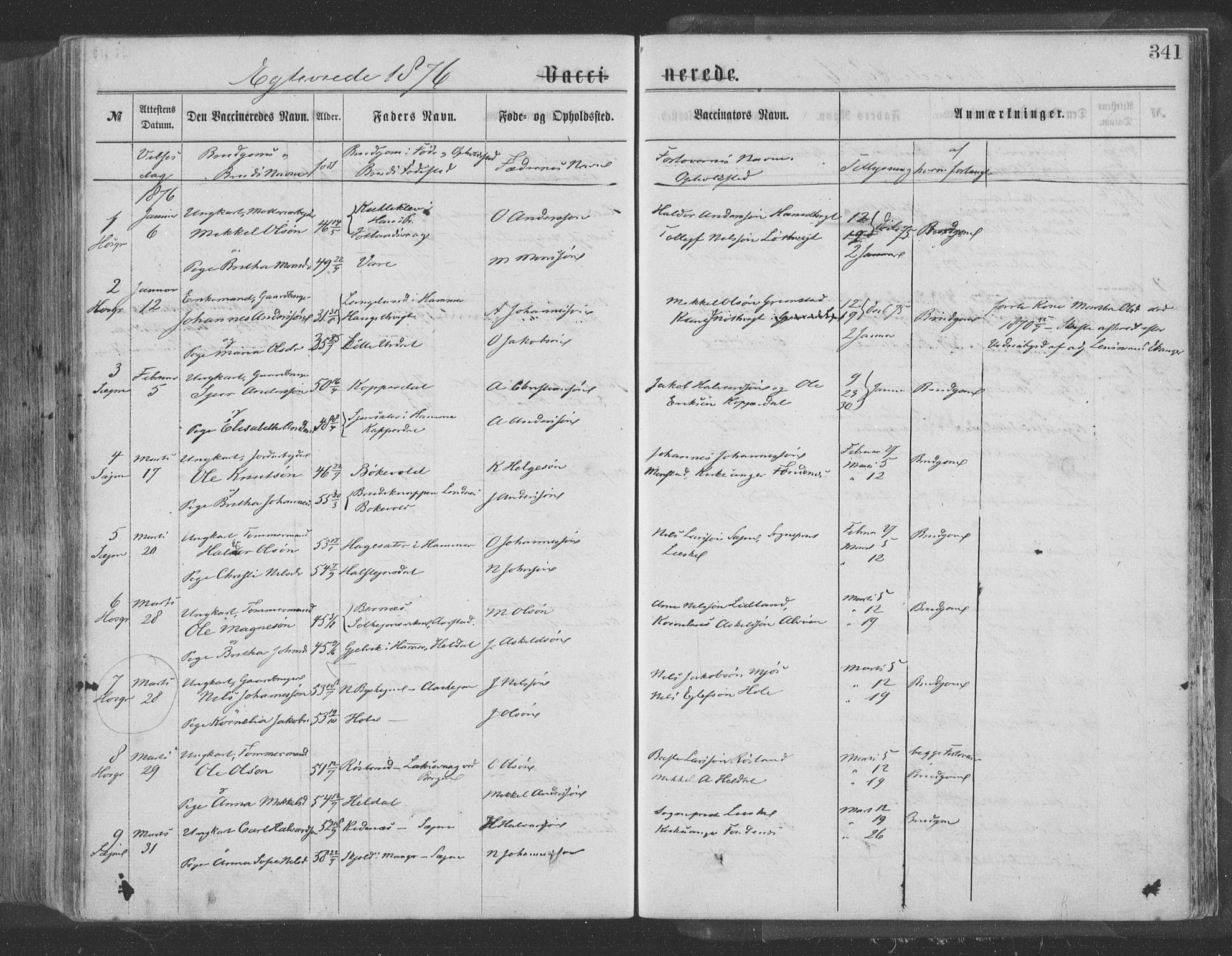 Hosanger sokneprestembete, AV/SAB-A-75801/H/Haa: Parish register (official) no. A 9, 1864-1876, p. 341