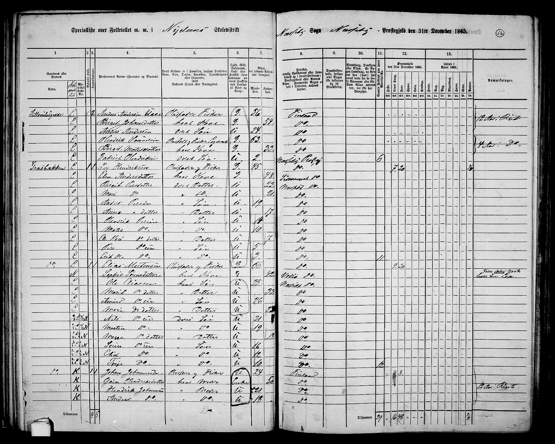 RA, 1865 census for Nesseby, 1865, p. 44