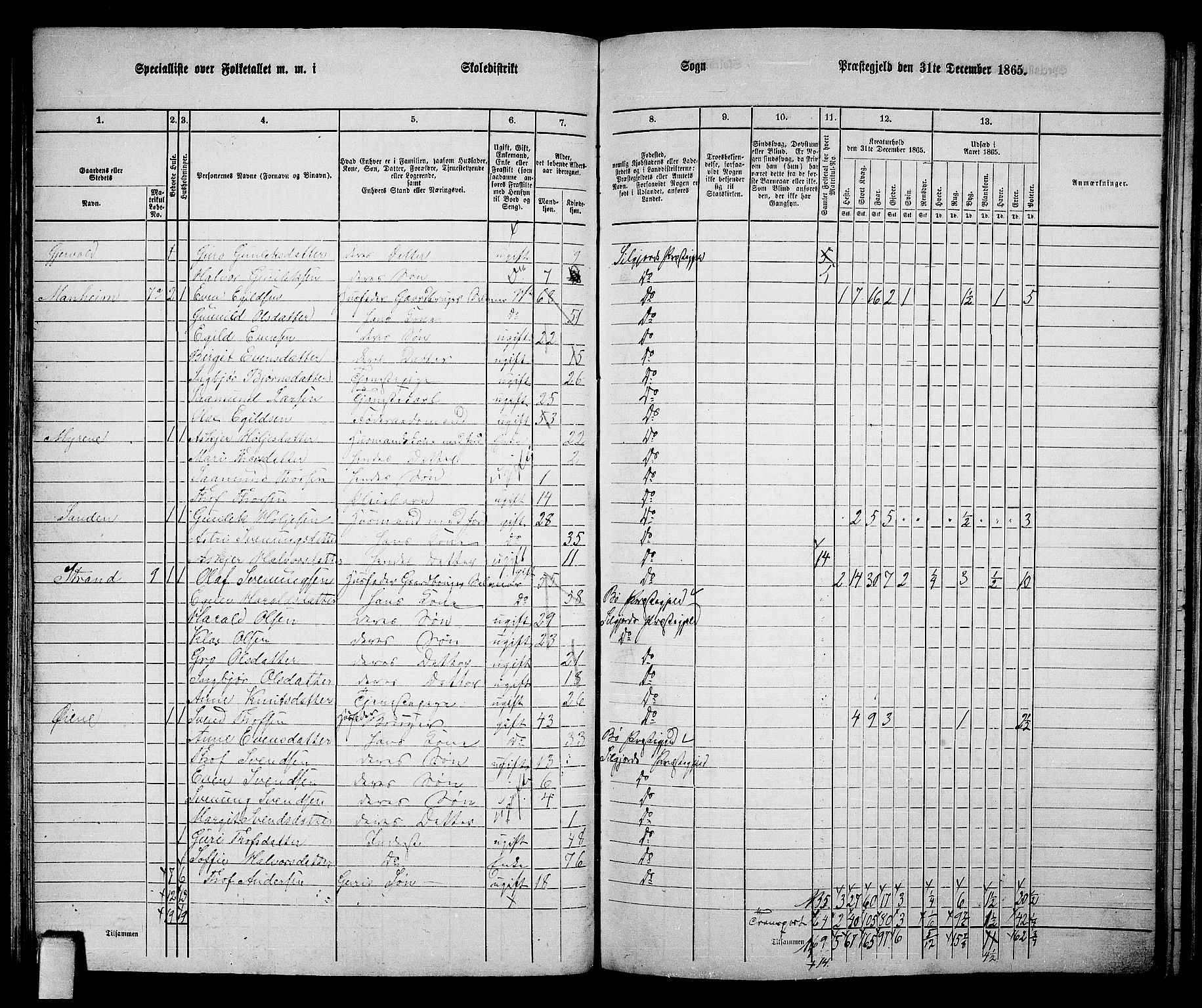 RA, 1865 census for Seljord, 1865, p. 80