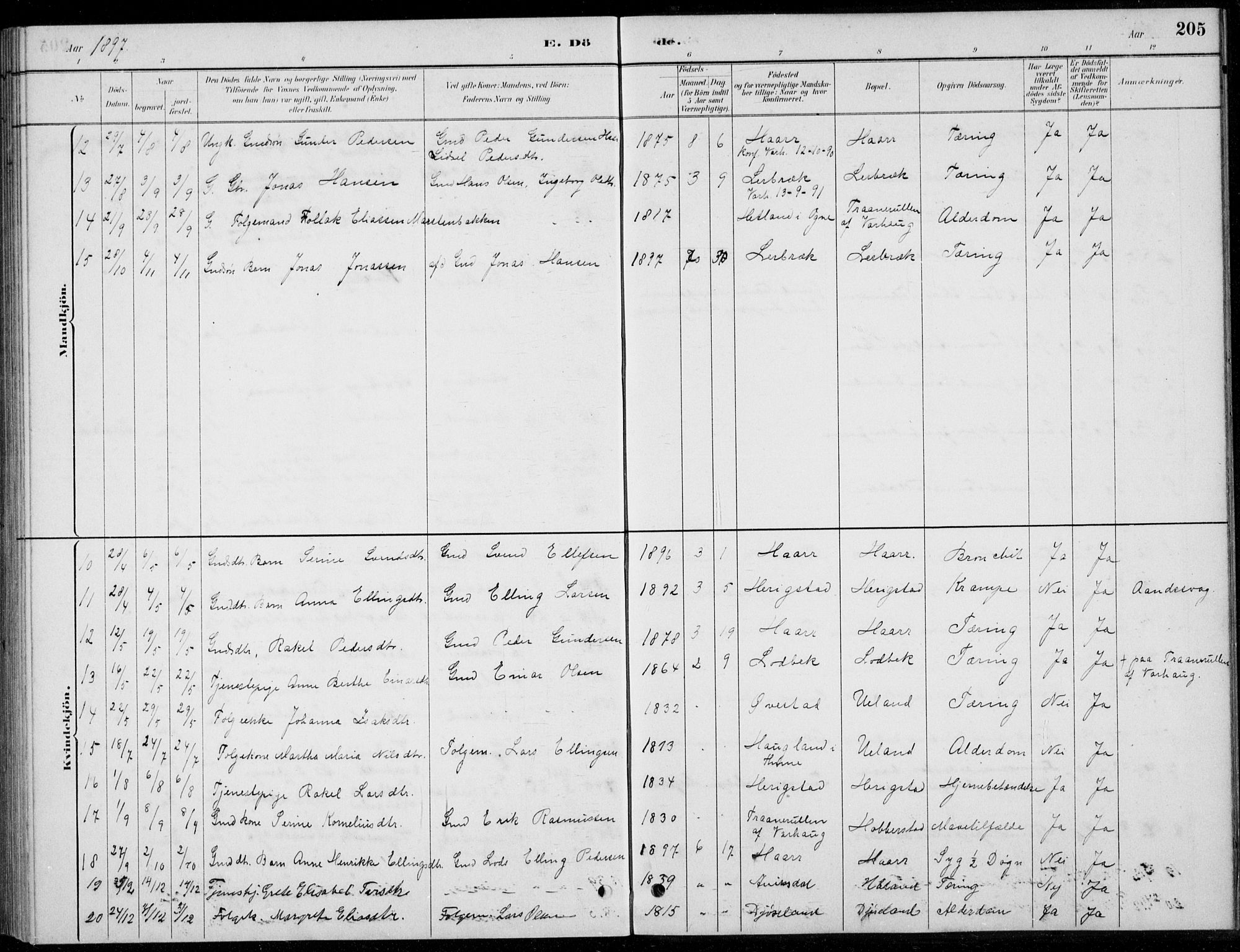 Hå sokneprestkontor, SAST/A-101801/001/30BB/L0004: Parish register (copy) no. B 4, 1883-1899, p. 205