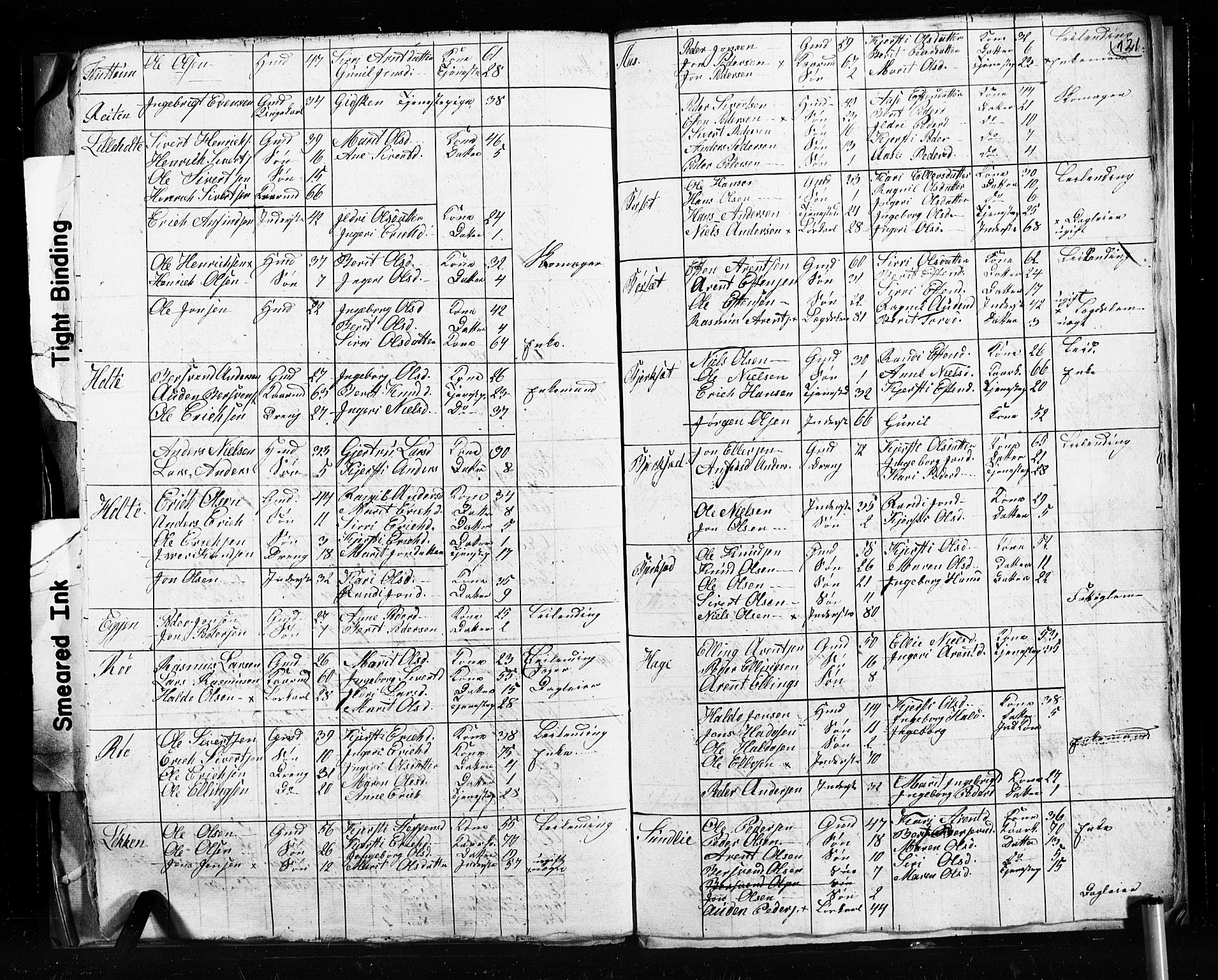 , 1825 Census for Støren parish, 1825, p. 121