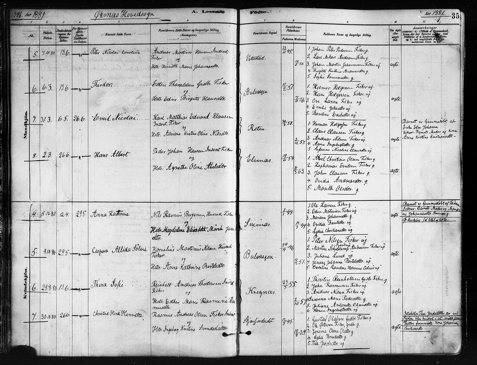 Ministerialprotokoller, klokkerbøker og fødselsregistre - Nordland, AV/SAT-A-1459/893/L1335: Parish register (official) no. 893A08 /1, 1878-1884, p. 35