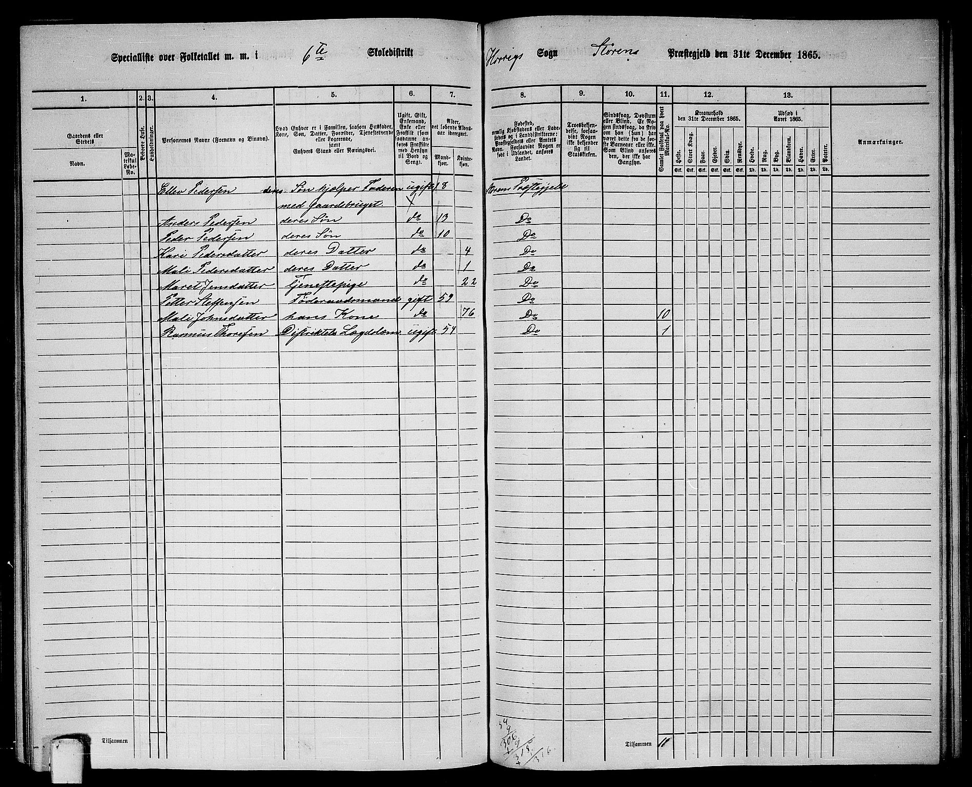 RA, 1865 census for Støren, 1865, p. 212