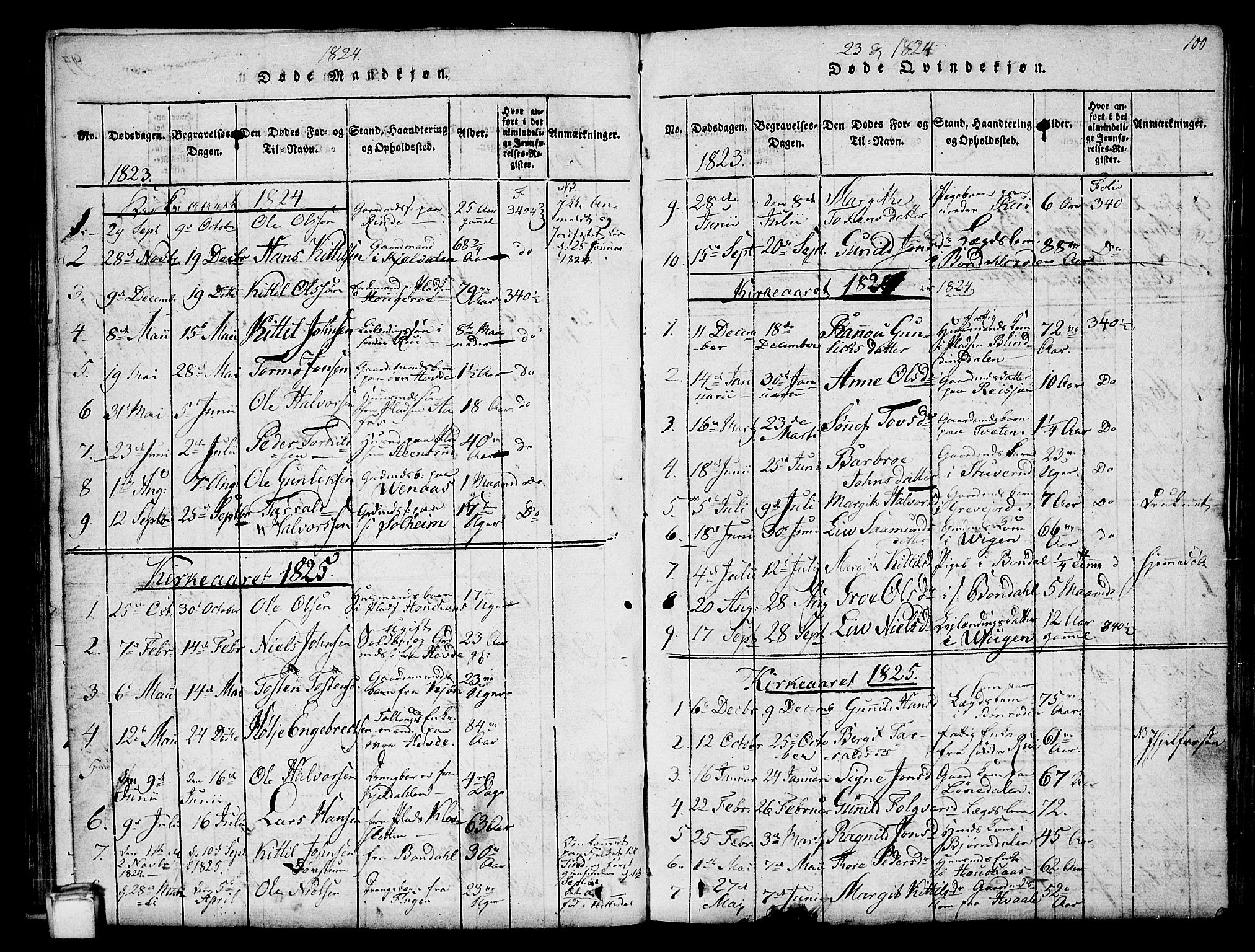 Hjartdal kirkebøker, SAKO/A-270/G/Gc/L0001: Parish register (copy) no. III 1, 1815-1842, p. 100