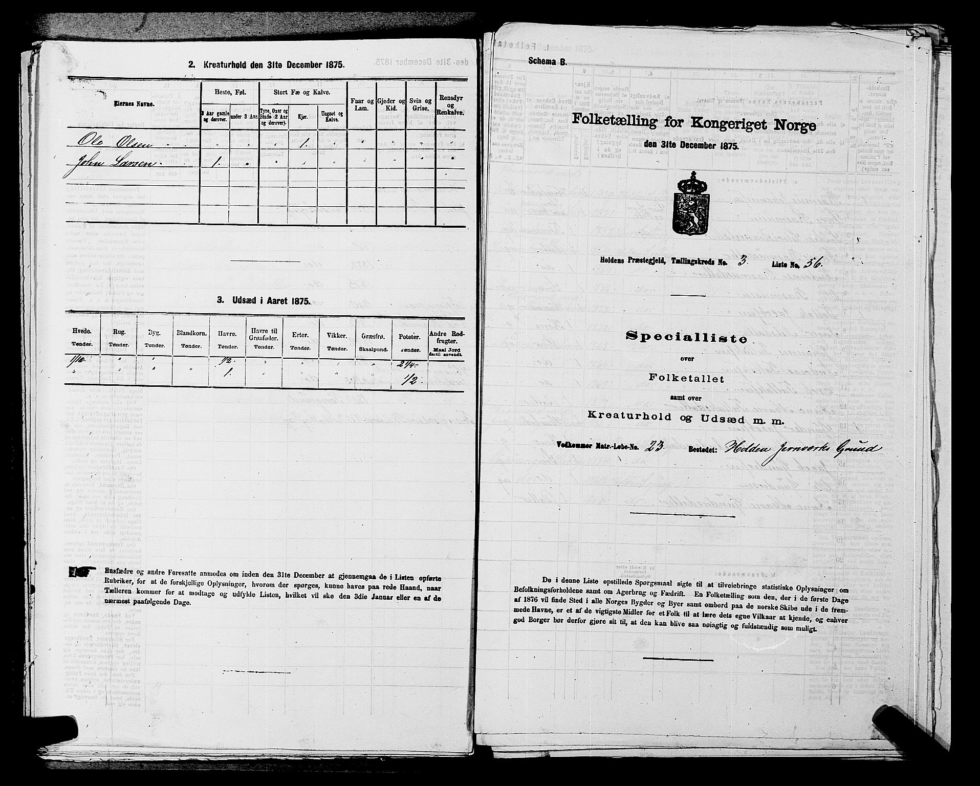 SAKO, 1875 census for 0819P Holla, 1875, p. 394