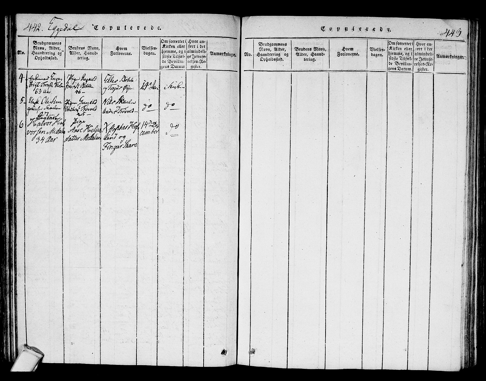 Sigdal kirkebøker, SAKO/A-245/F/Fa/L0005: Parish register (official) no. I 5 /2, 1815-1829, p. 442-443