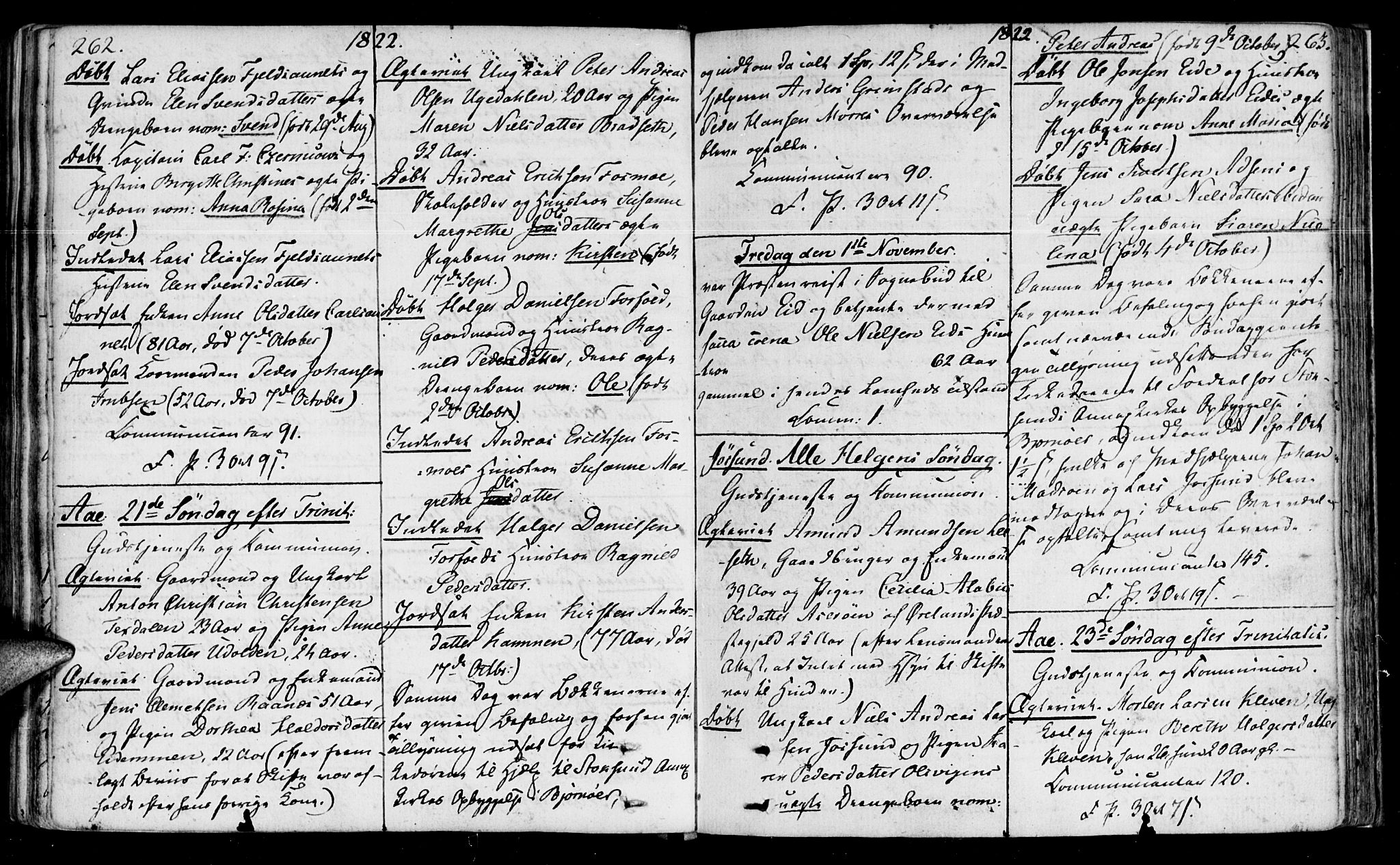 Ministerialprotokoller, klokkerbøker og fødselsregistre - Sør-Trøndelag, AV/SAT-A-1456/655/L0674: Parish register (official) no. 655A03, 1802-1826, p. 262-263