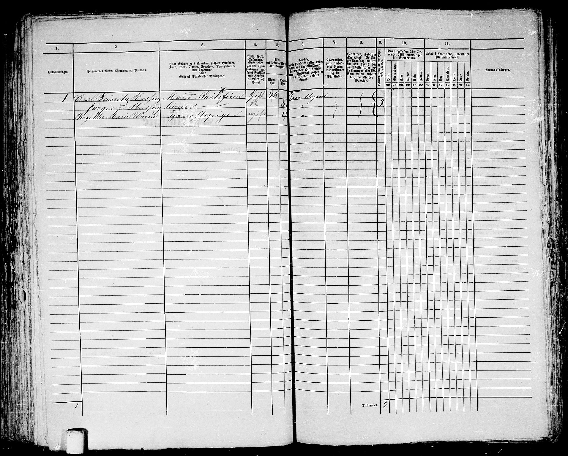 RA, 1865 census for Trondheim, 1865, p. 696