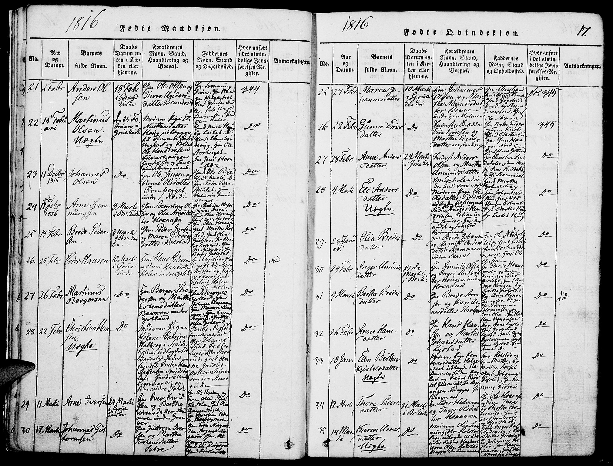 Grue prestekontor, SAH/PREST-036/H/Ha/Haa/L0006: Parish register (official) no. 6, 1814-1830, p. 17