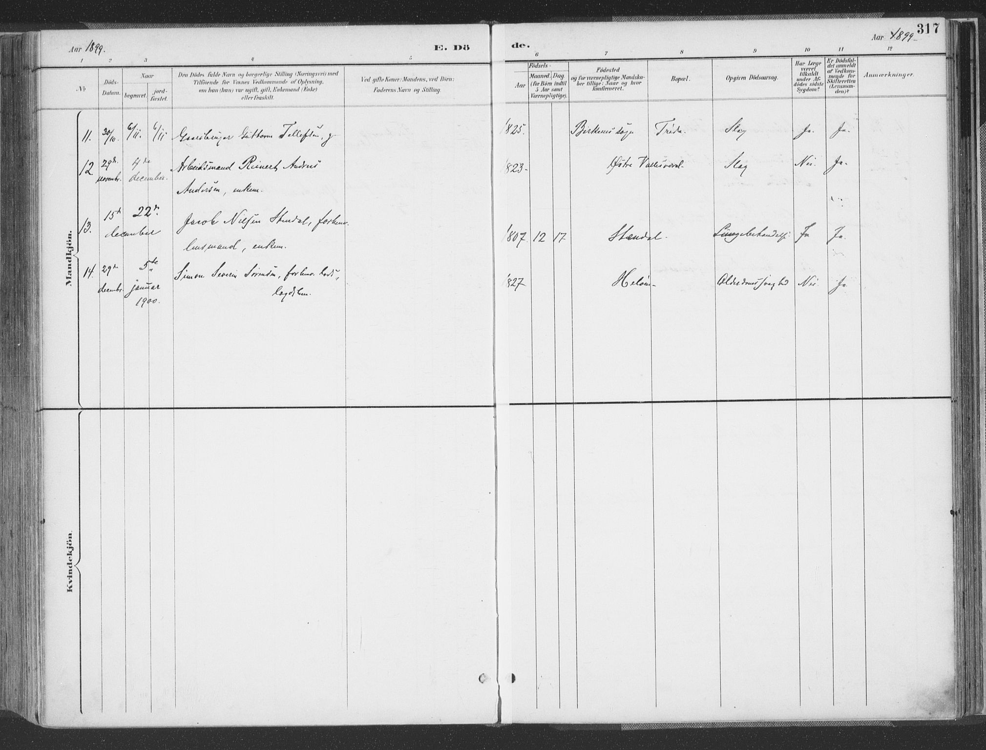 Høvåg sokneprestkontor, AV/SAK-1111-0025/F/Fa/L0006: Parish register (official) no. A 6, 1894-1923, p. 317
