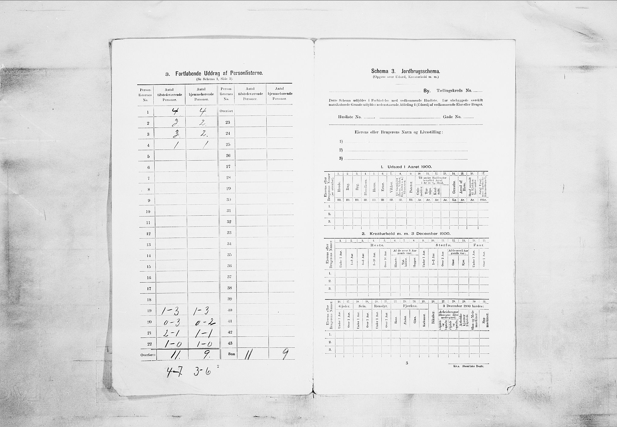 SAKO, 1900 census for Skien, 1900, p. 89