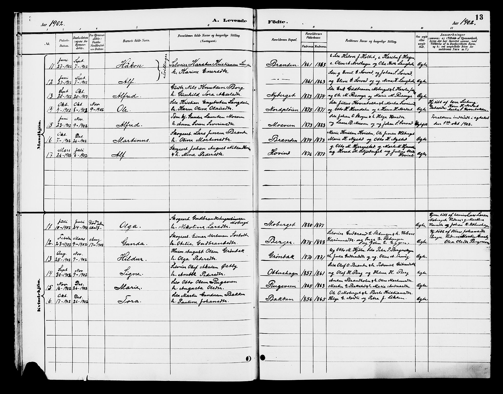 Elverum prestekontor, AV/SAH-PREST-044/H/Ha/Hab/L0007: Parish register (copy) no. 7, 1896-1914, p. 13