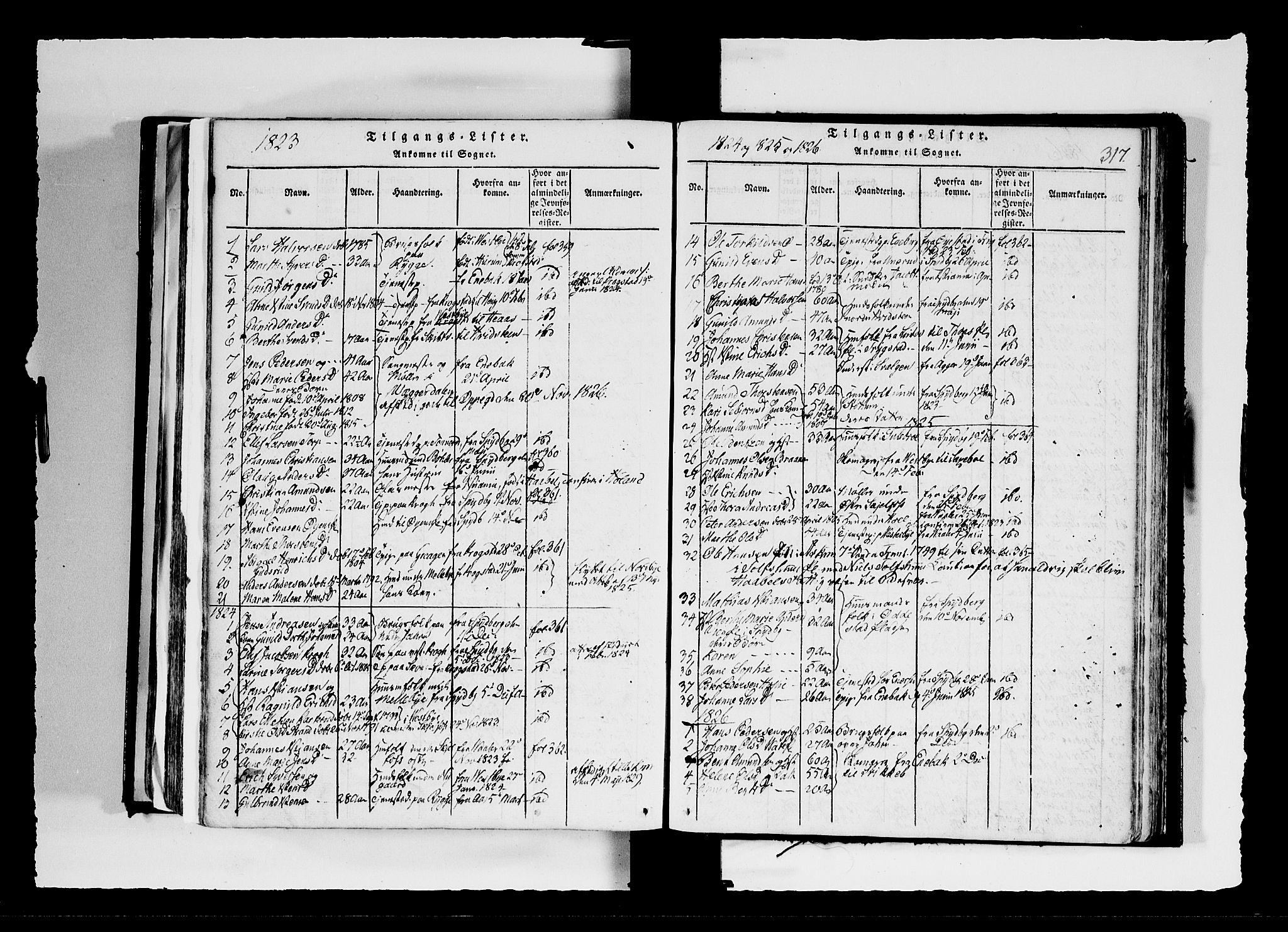 Hobøl prestekontor Kirkebøker, AV/SAO-A-2002/F/Fa/L0002: Parish register (official) no. I 2, 1814-1841, p. 317