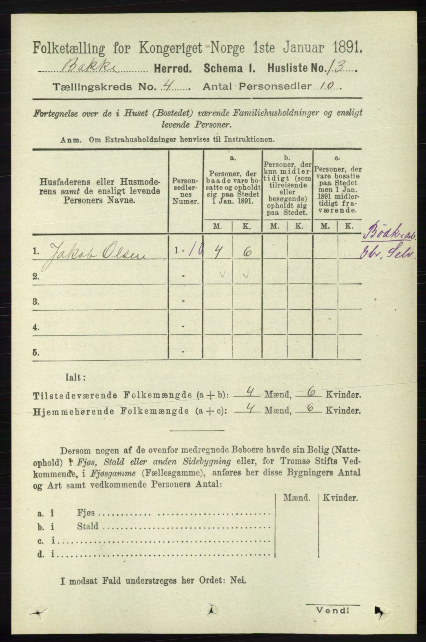 RA, 1891 census for 1045 Bakke, 1891, p. 556