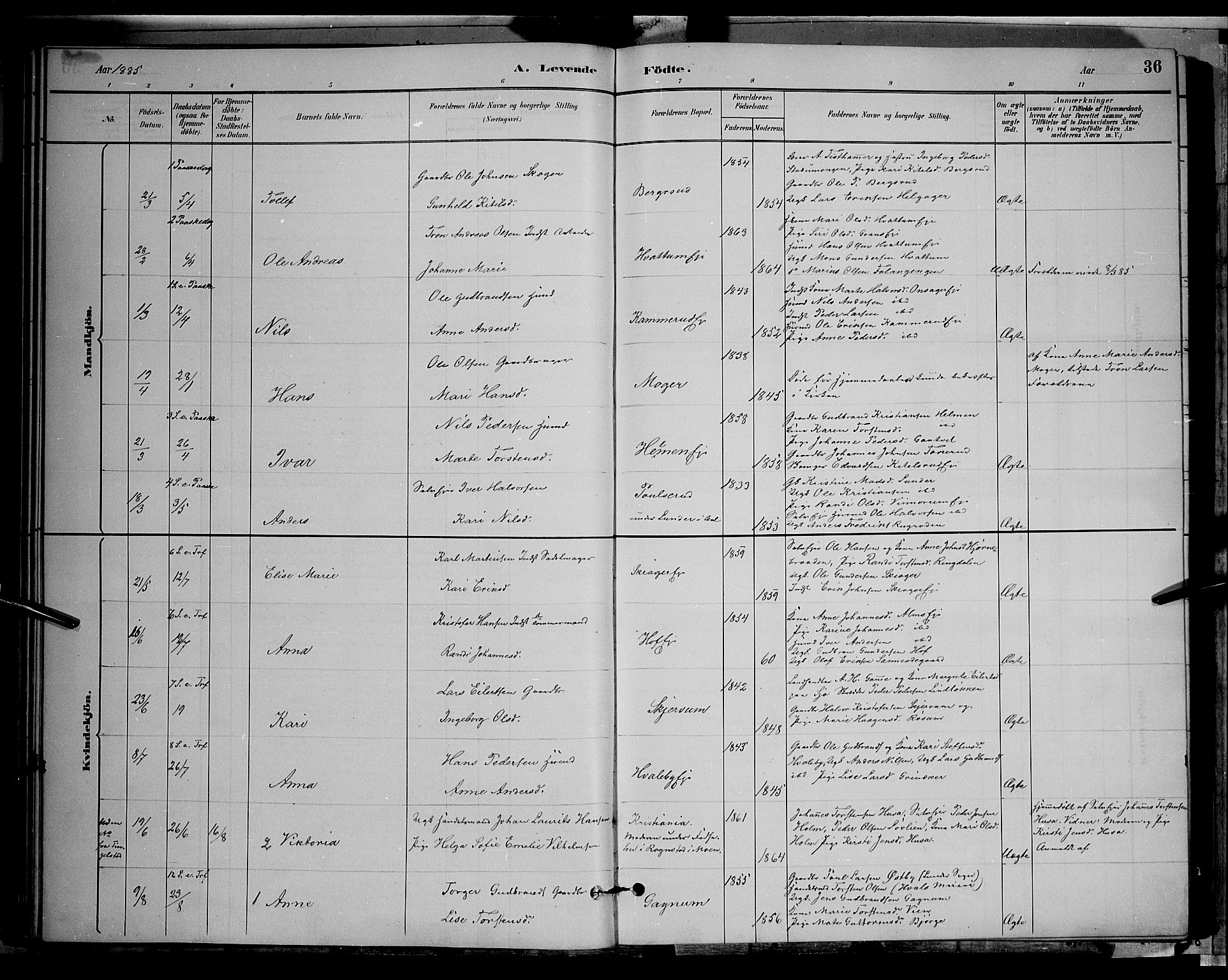 Gran prestekontor, SAH/PREST-112/H/Ha/Hab/L0002: Parish register (copy) no. 2, 1879-1892, p. 36