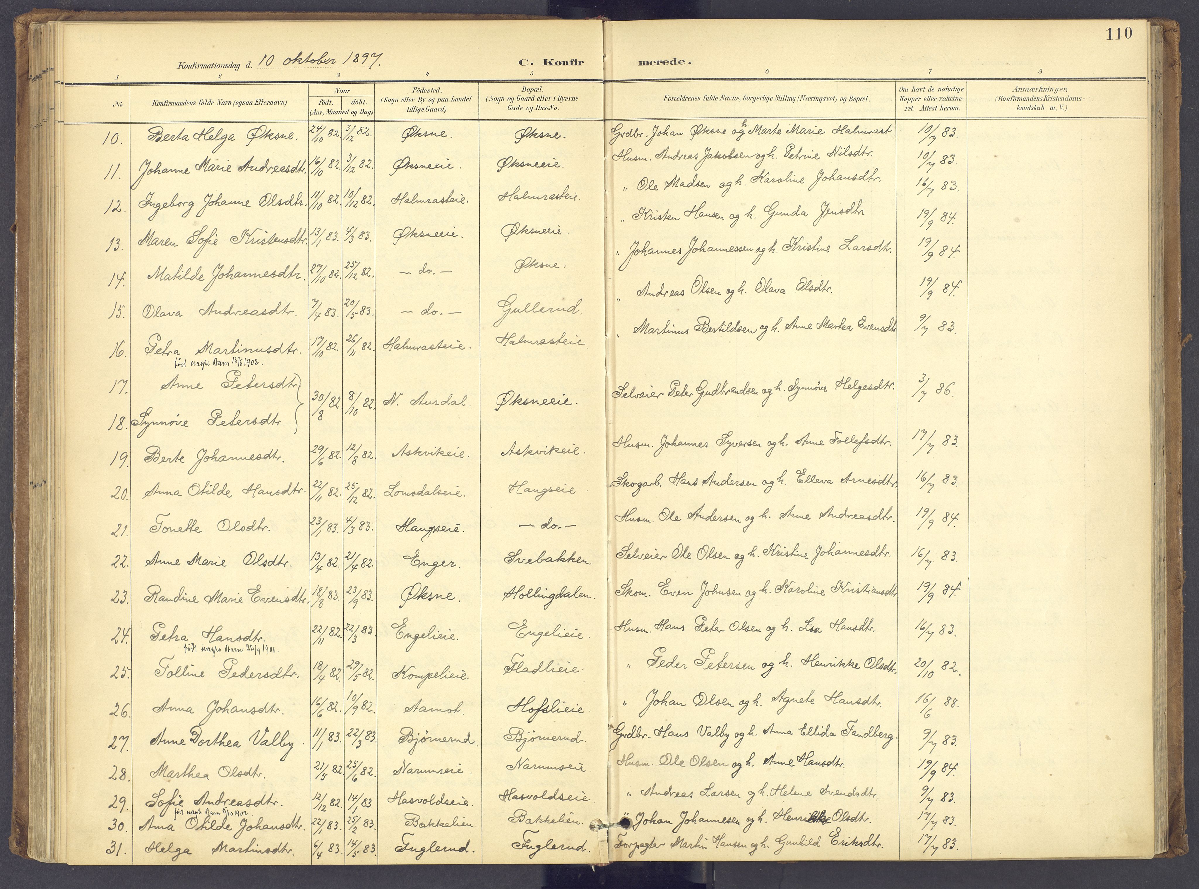 Søndre Land prestekontor, SAH/PREST-122/K/L0006: Parish register (official) no. 6, 1895-1904, p. 110