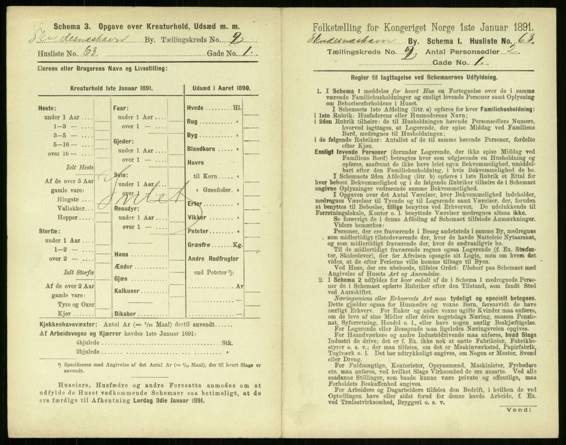 RA, 1891 census for 1104 Skudeneshavn, 1891, p. 184