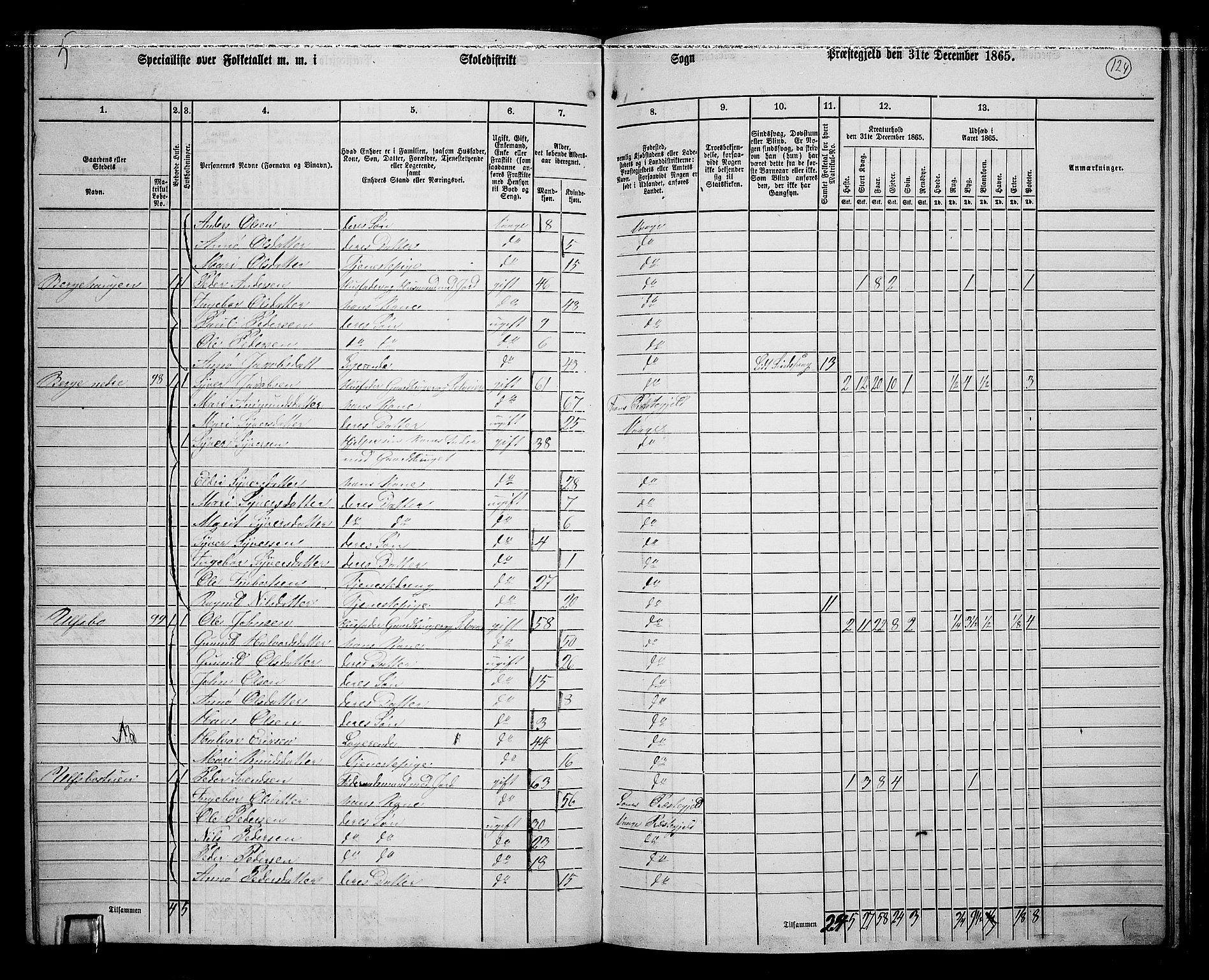 RA, 1865 census for Vågå, 1865, p. 114