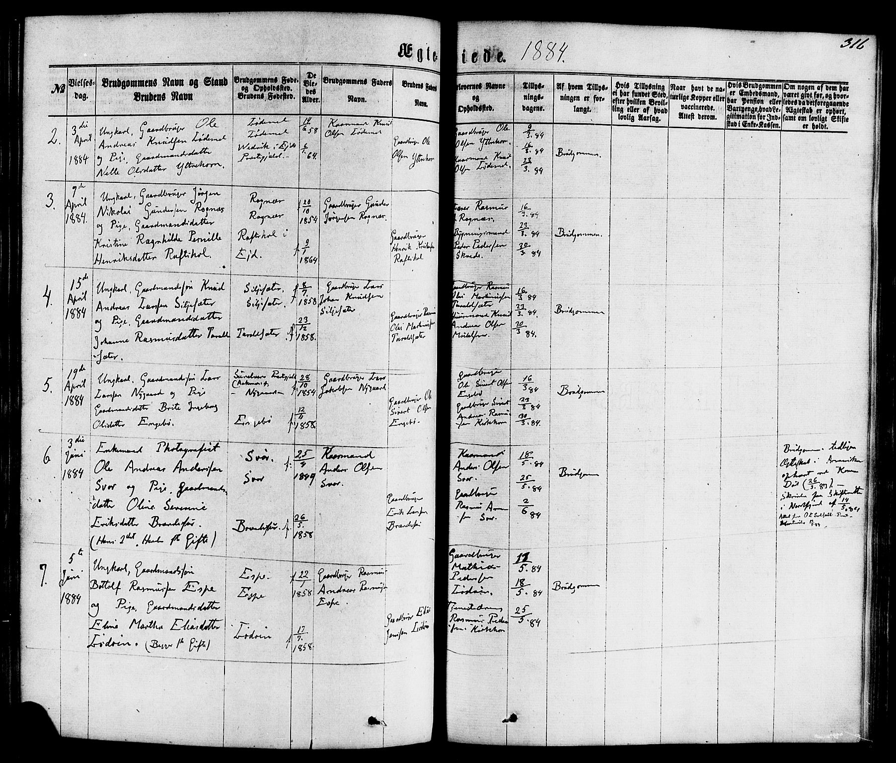 Hornindal sokneprestembete, AV/SAB-A-82401/H/Haa/Haaa/L0002: Parish register (official) no. A 2, 1867-1884, p. 316