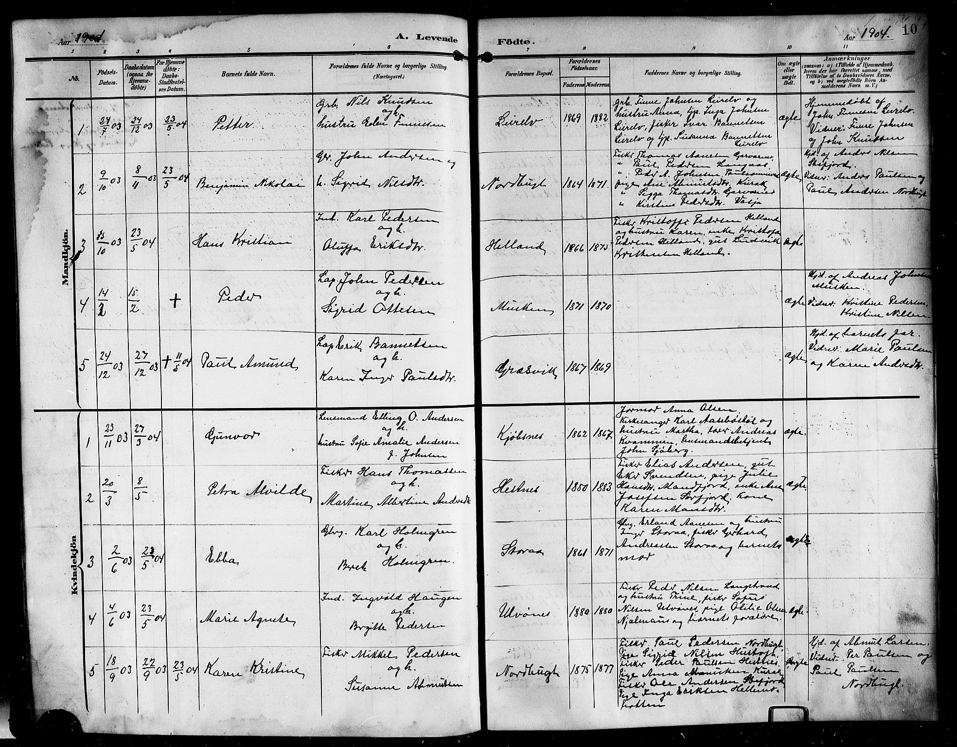 Ministerialprotokoller, klokkerbøker og fødselsregistre - Nordland, AV/SAT-A-1459/861/L0877: Parish register (copy) no. 861C03, 1903-1919, p. 10