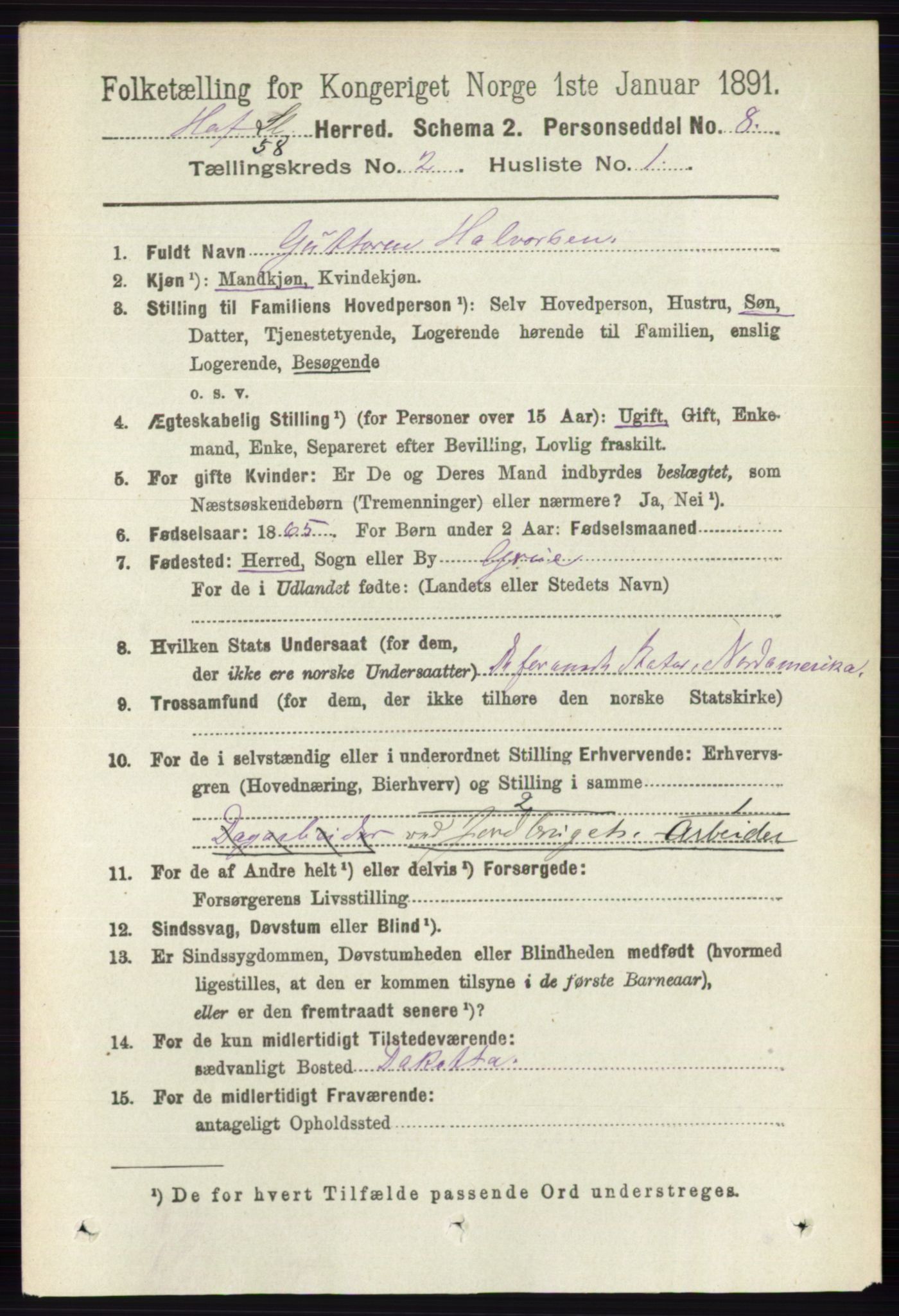 RA, 1891 census for 0424 Hof, 1891, p. 466