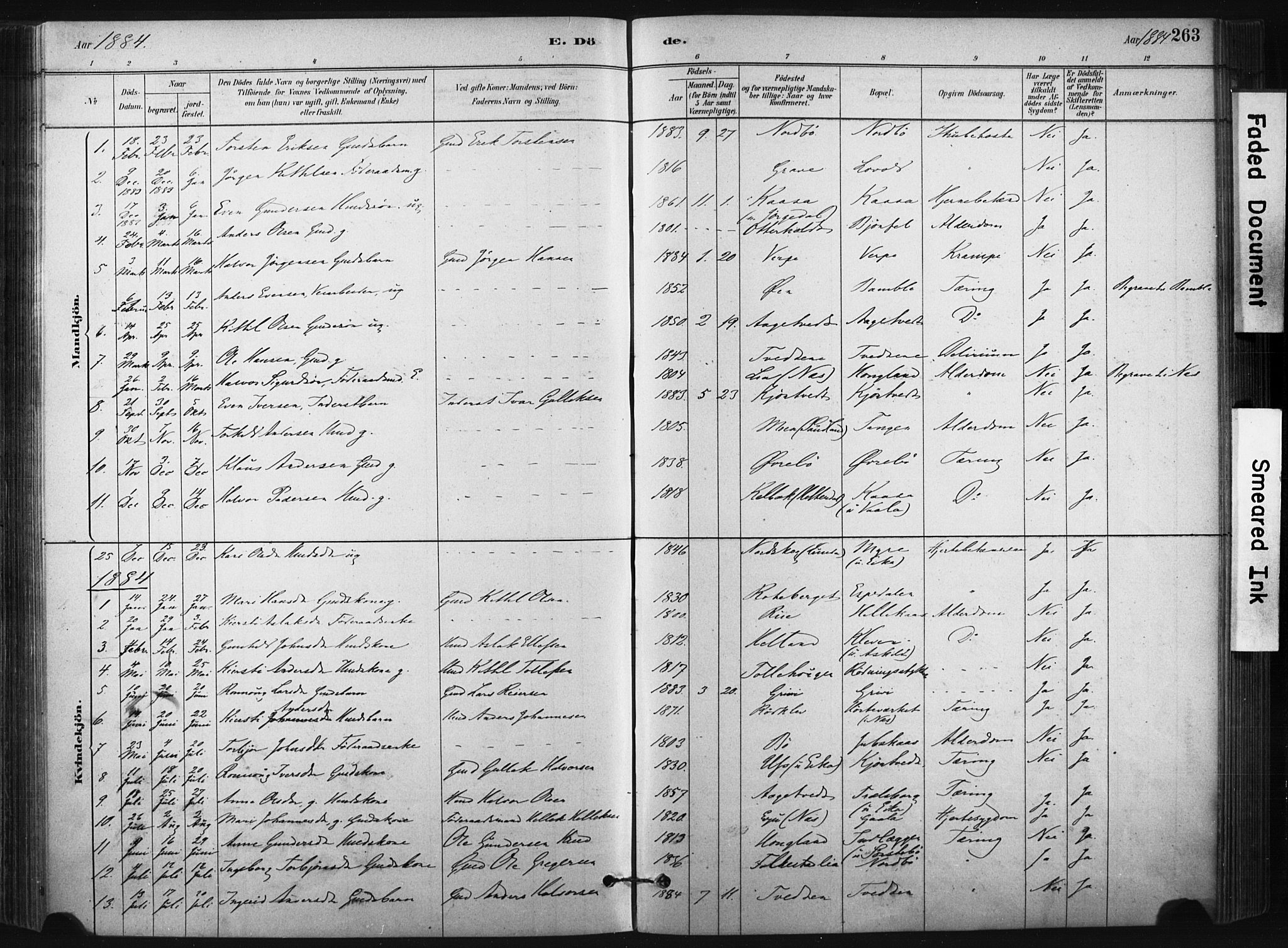 Bø kirkebøker, SAKO/A-257/F/Fa/L0010: Parish register (official) no. 10, 1880-1892, p. 263