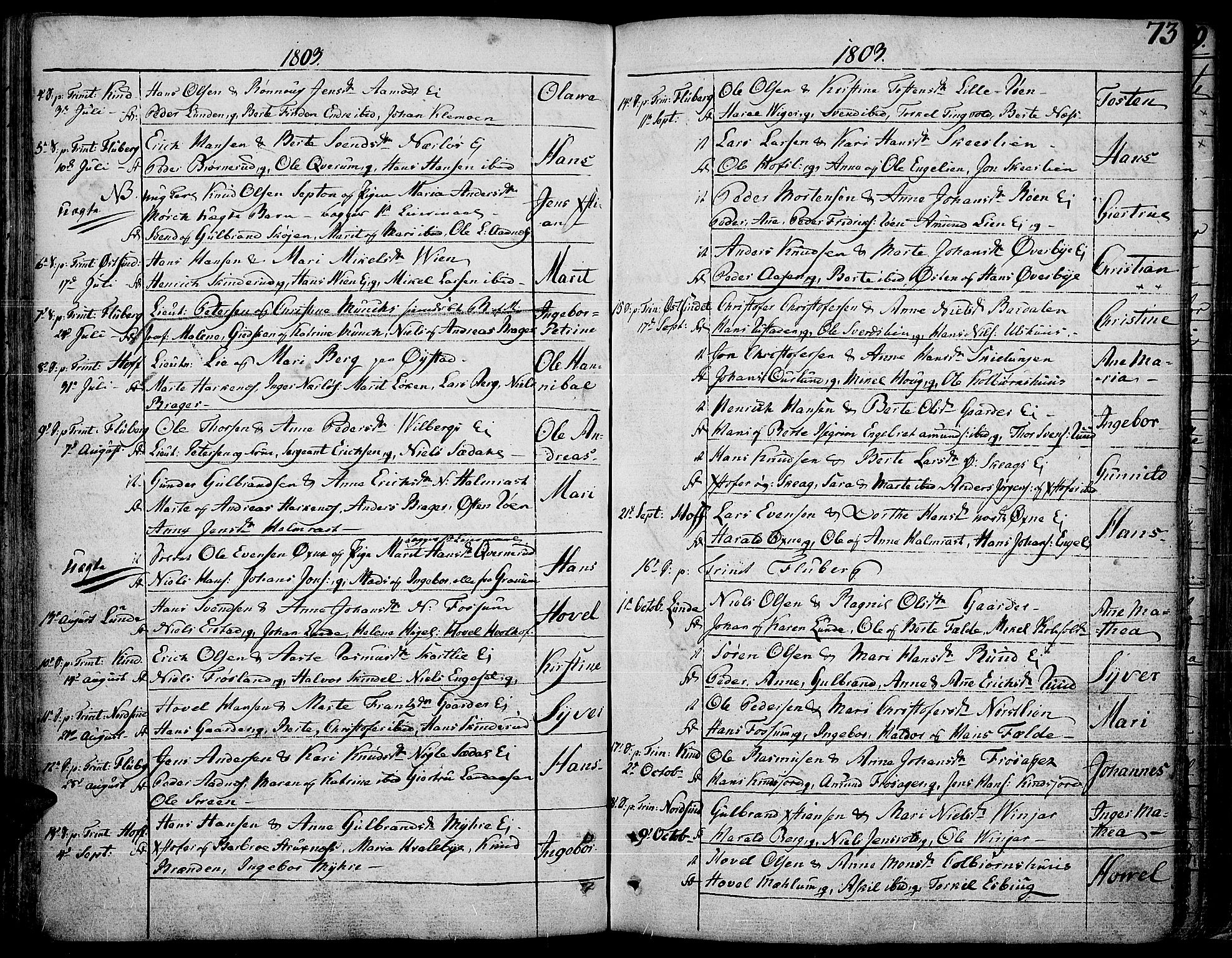 Land prestekontor, SAH/PREST-120/H/Ha/Haa/L0006: Parish register (official) no. 6, 1784-1813, p. 73