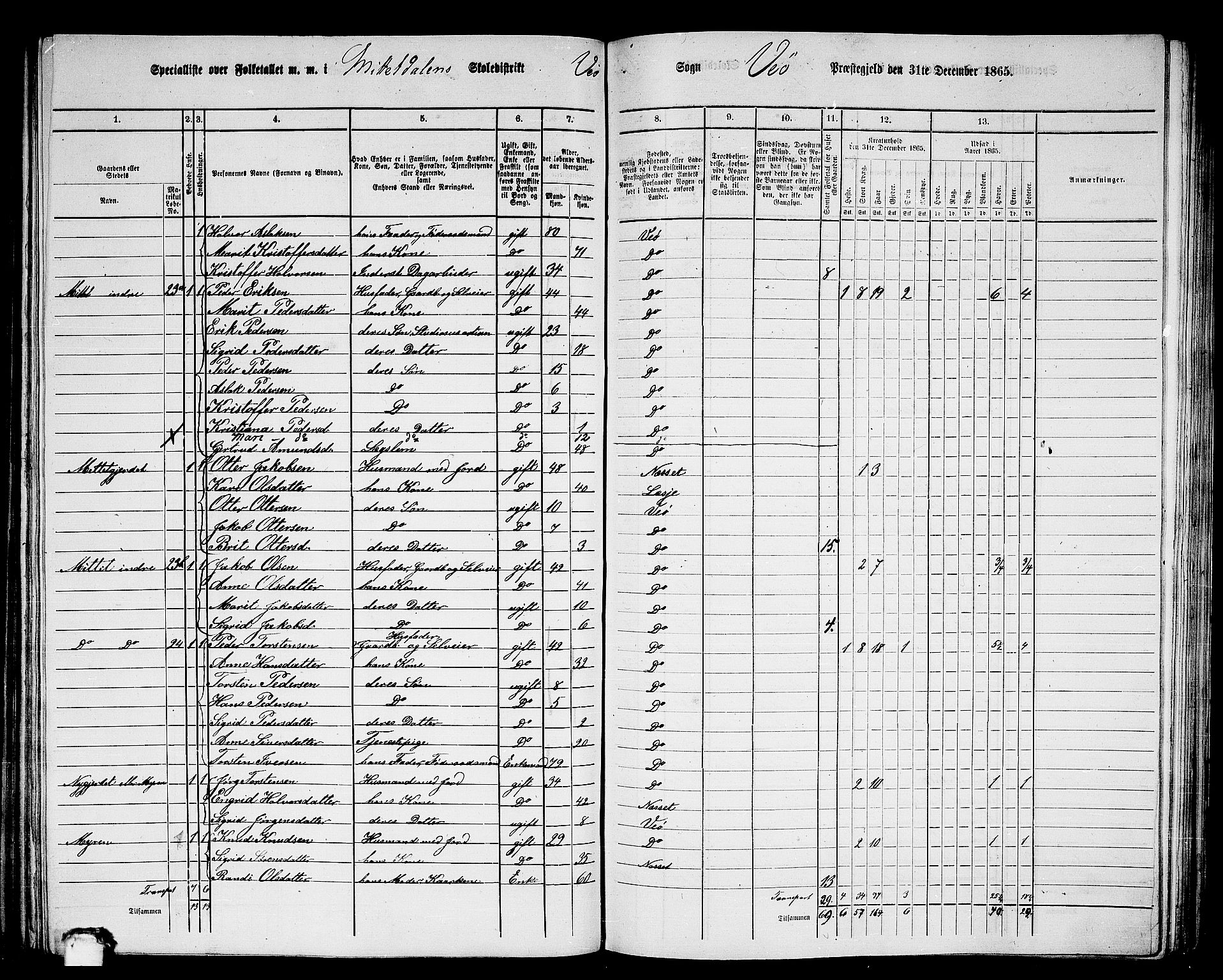 RA, 1865 census for Veøy, 1865, p. 26