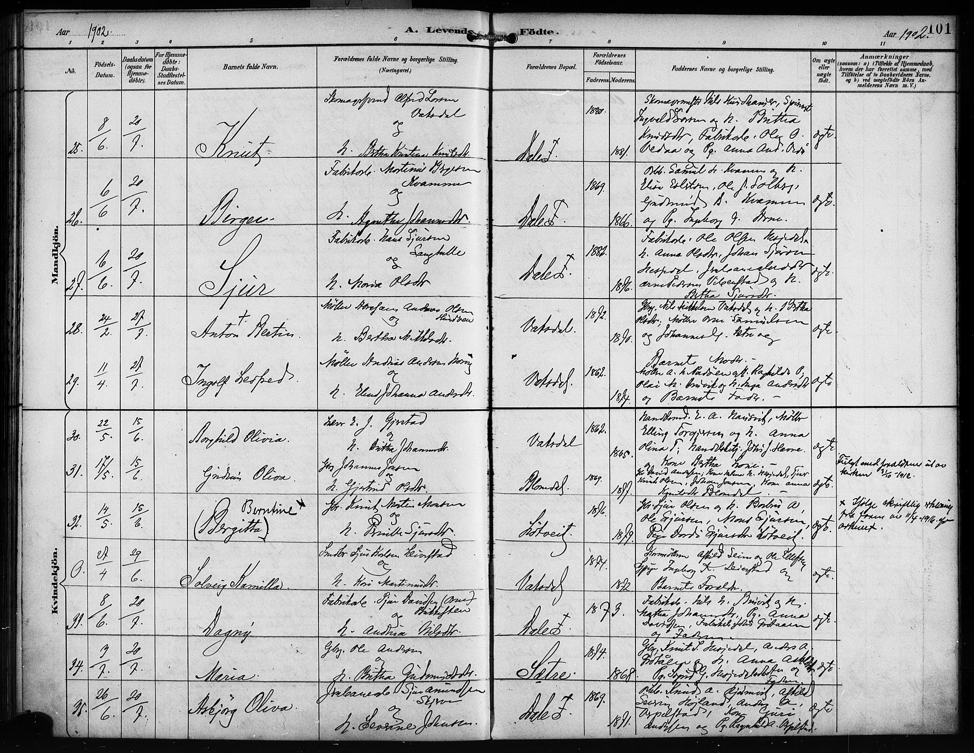 Bruvik Sokneprestembete, SAB/A-74701/H/Haa: Parish register (official) no. B 2, 1893-1903, p. 101