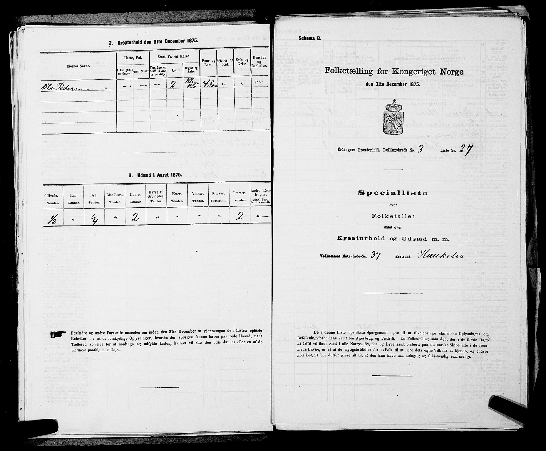 SAKO, 1875 census for 0813P Eidanger, 1875, p. 531