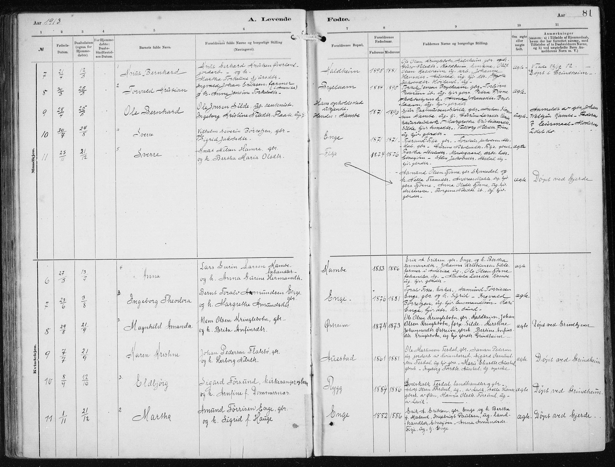 Etne sokneprestembete, AV/SAB-A-75001/H/Haa: Parish register (official) no. B  1, 1879-1919, p. 81