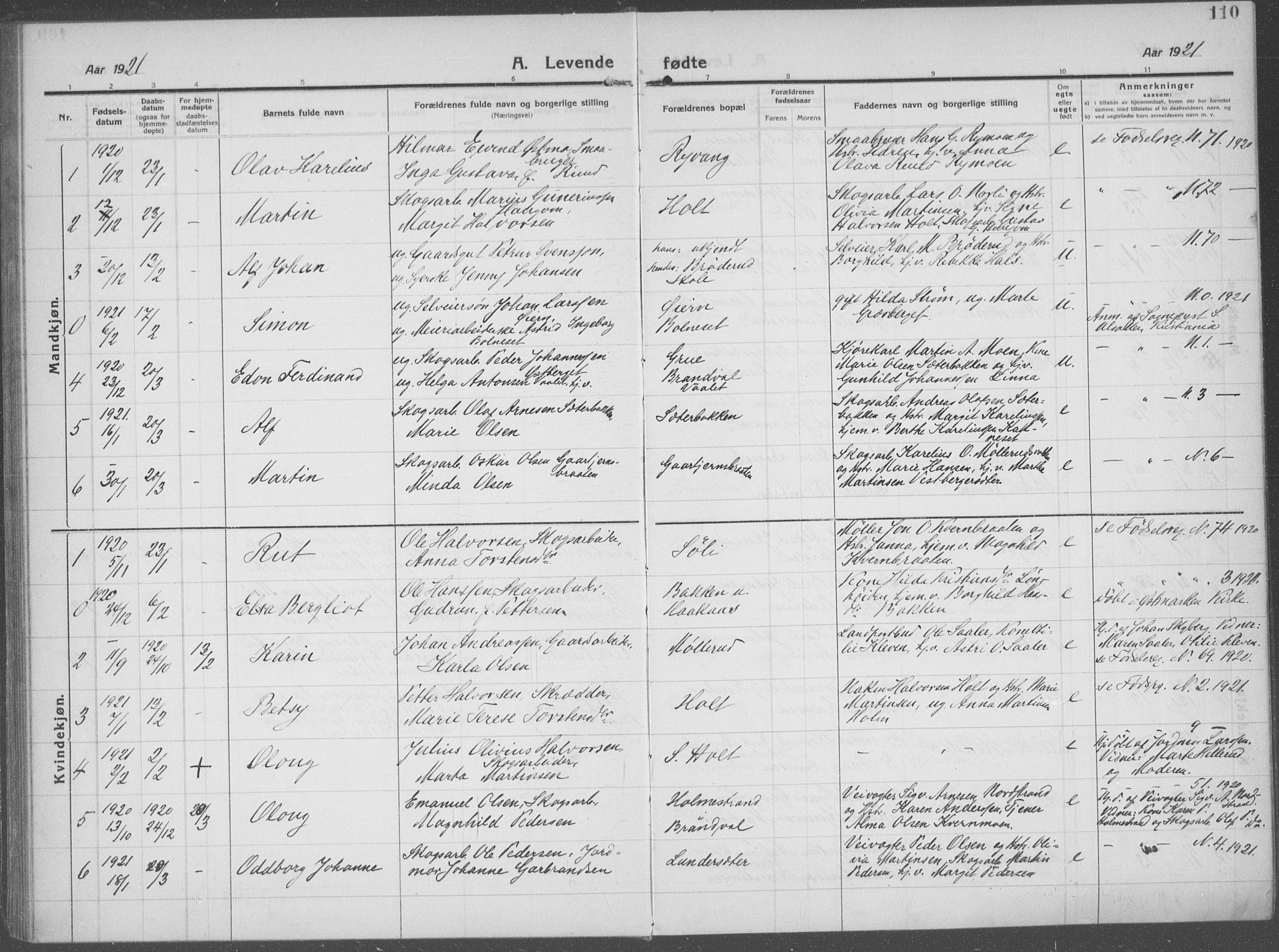 Brandval prestekontor, AV/SAH-PREST-034/H/Ha/Haa/L0004: Parish register (official) no. 4, 1910-1924, p. 110