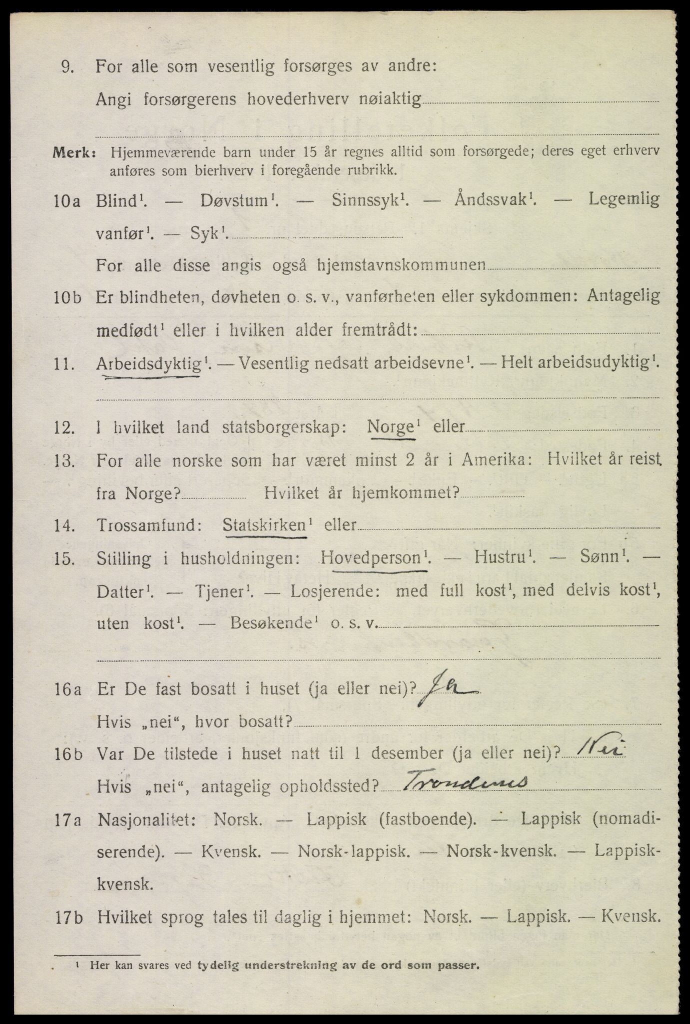 SAT, 1920 census for Borge, 1920, p. 10608