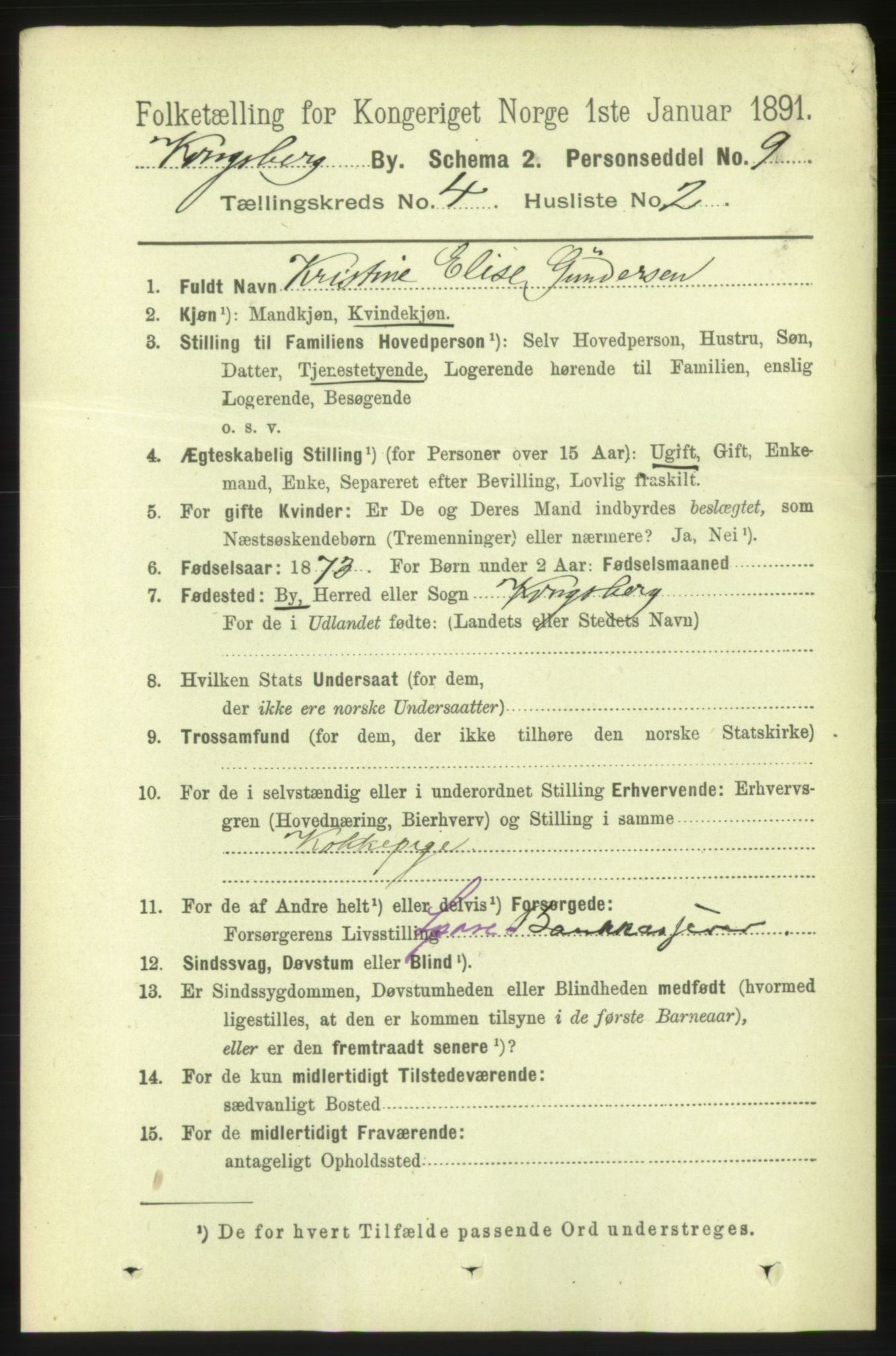 RA, 1891 census for 0604 Kongsberg, 1891, p. 3519