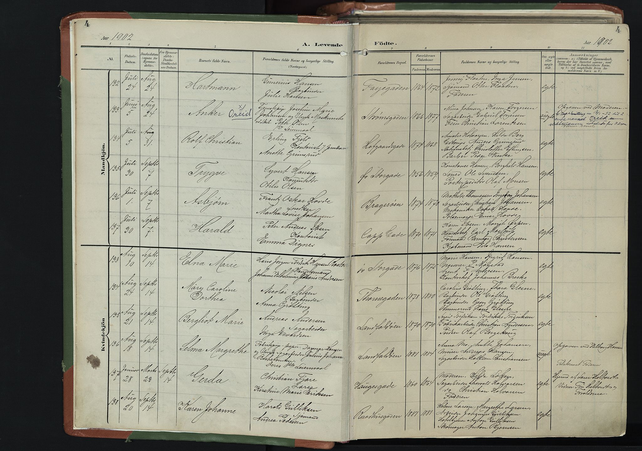 Bragernes kirkebøker, AV/SAKO-A-6/F/Fb/L0009: Parish register (official) no. II 9, 1902-1911, p. 4