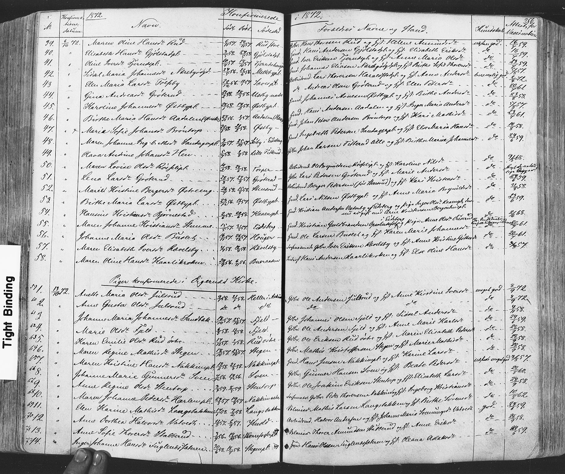 Rakkestad prestekontor Kirkebøker, SAO/A-2008/F/Fa/L0011: Parish register (official) no. I 11, 1862-1877, p. 256