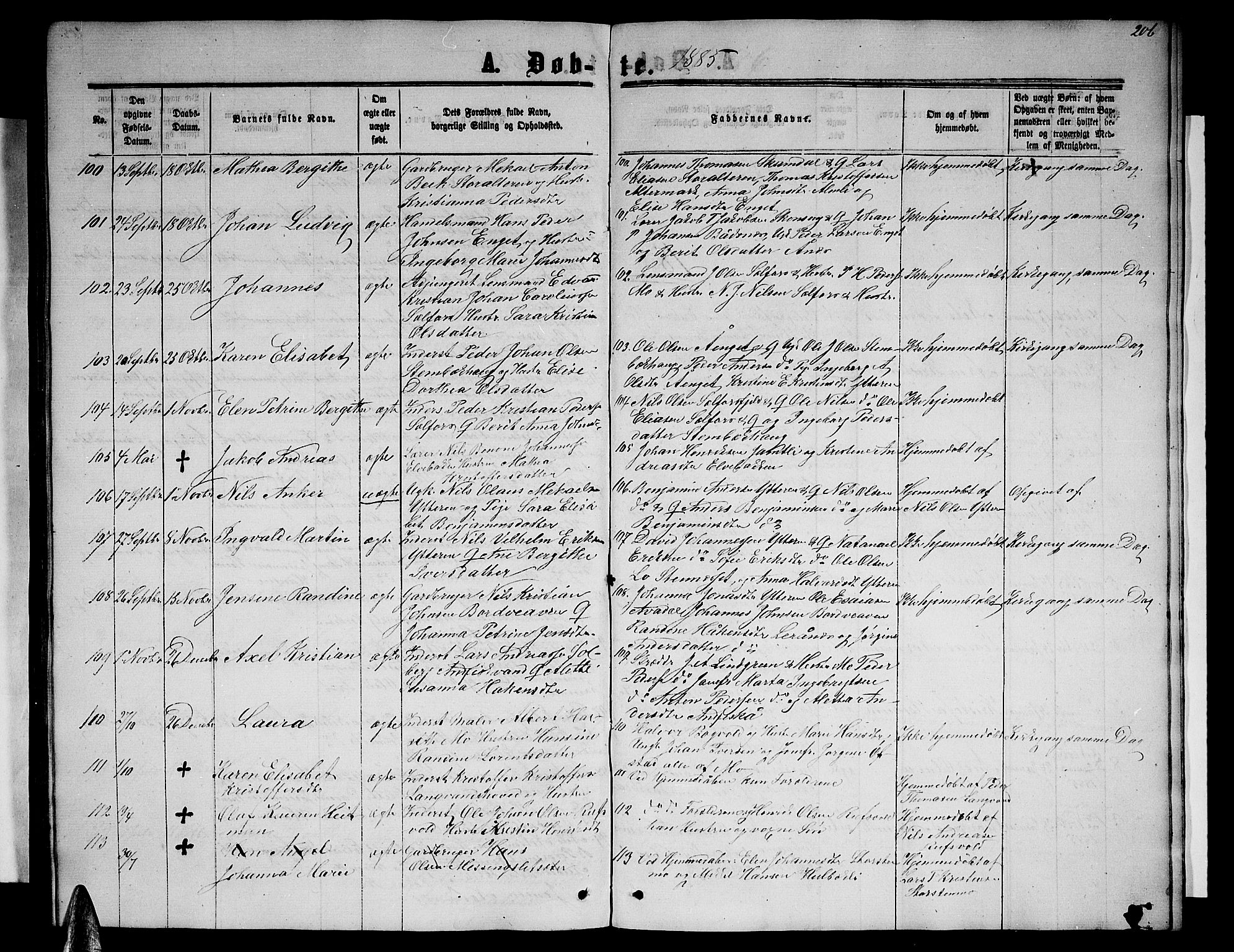 Ministerialprotokoller, klokkerbøker og fødselsregistre - Nordland, SAT/A-1459/827/L0415: Parish register (copy) no. 827C04, 1864-1886, p. 206