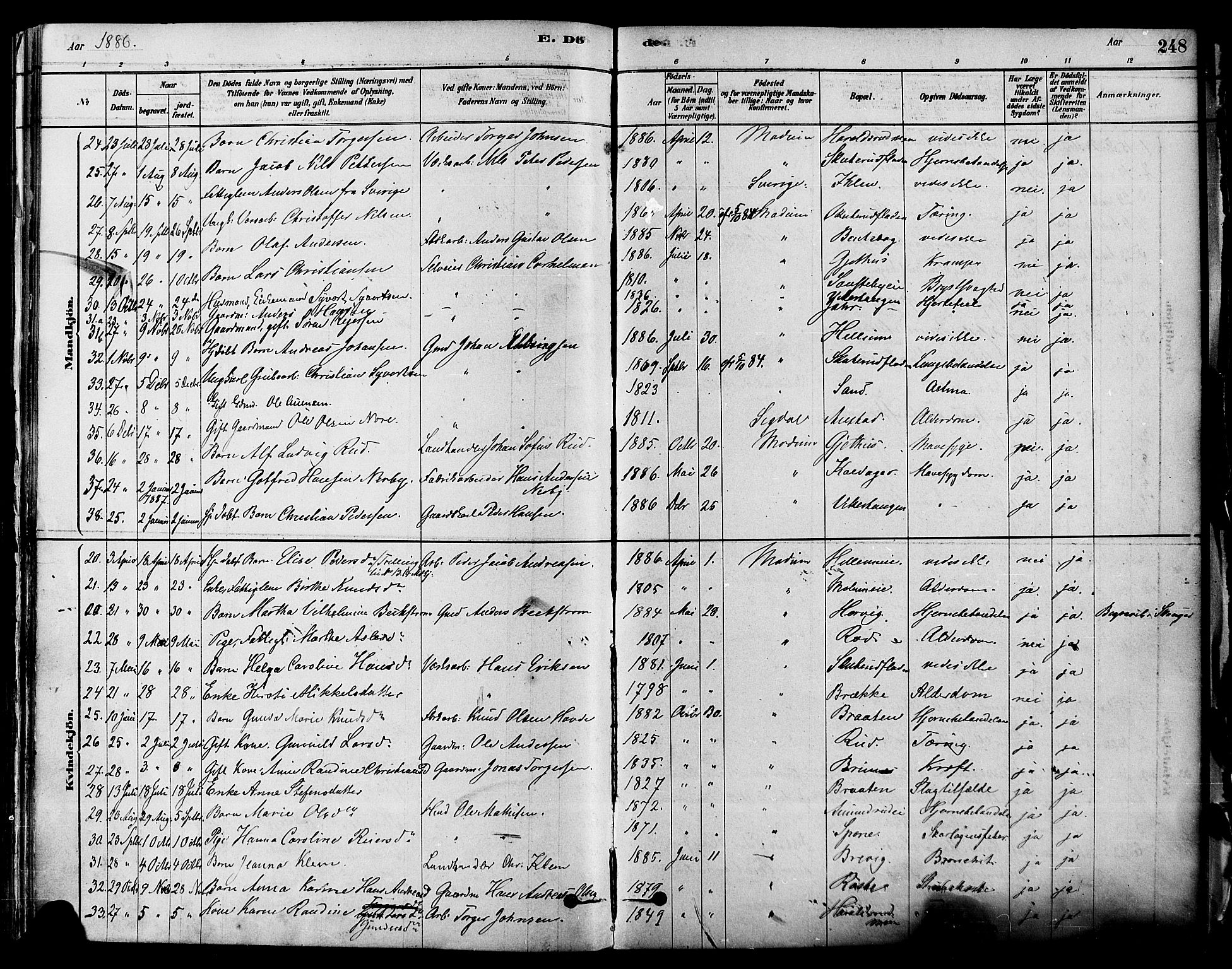 Modum kirkebøker, AV/SAKO-A-234/F/Fa/L0011: Parish register (official) no. 11, 1877-1889, p. 248